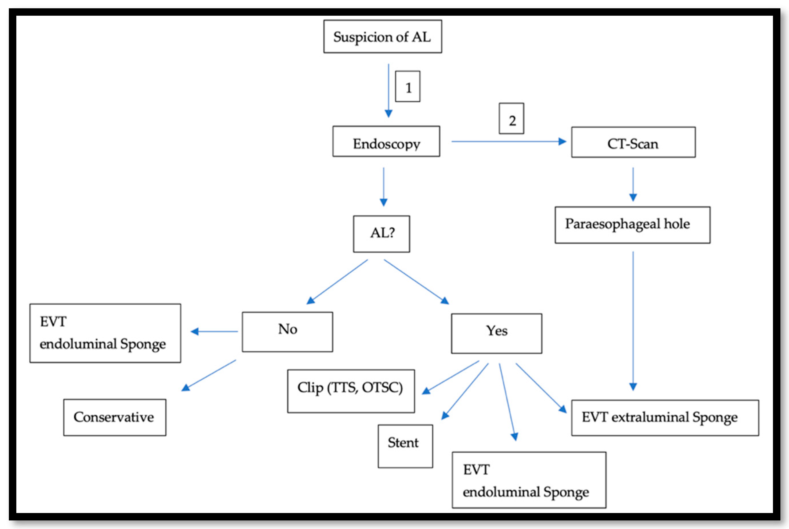 Cancers 14 05556 g002 Cancers 14 05556 g002