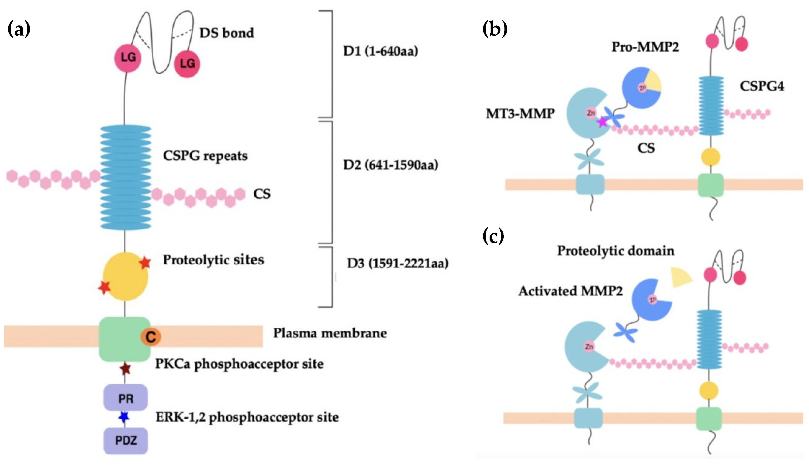 Cancers 14 05564 g001 Cancers 14 05564 g001