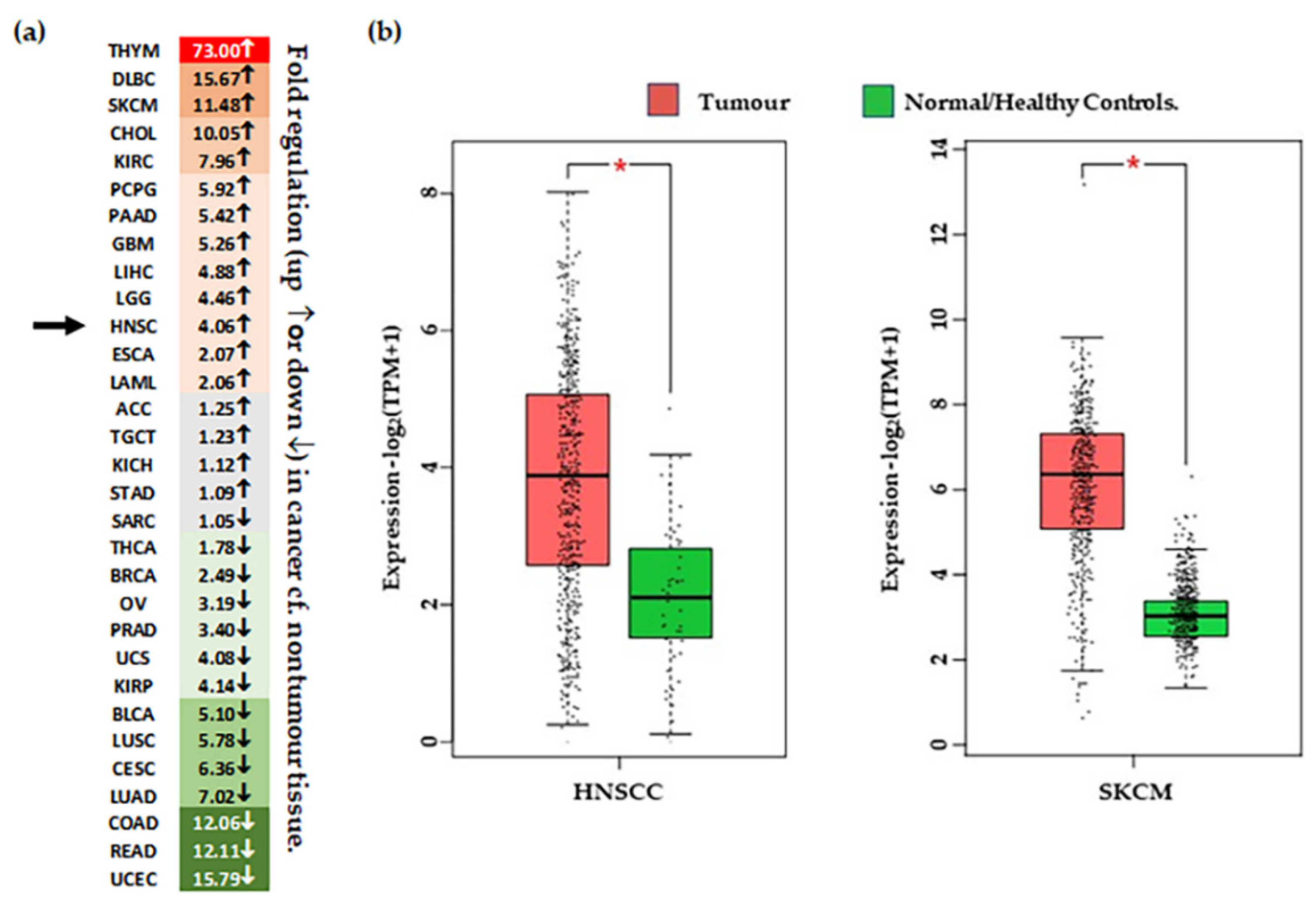 Cancers 14 05564 g003 Cancers 14 05564 g003