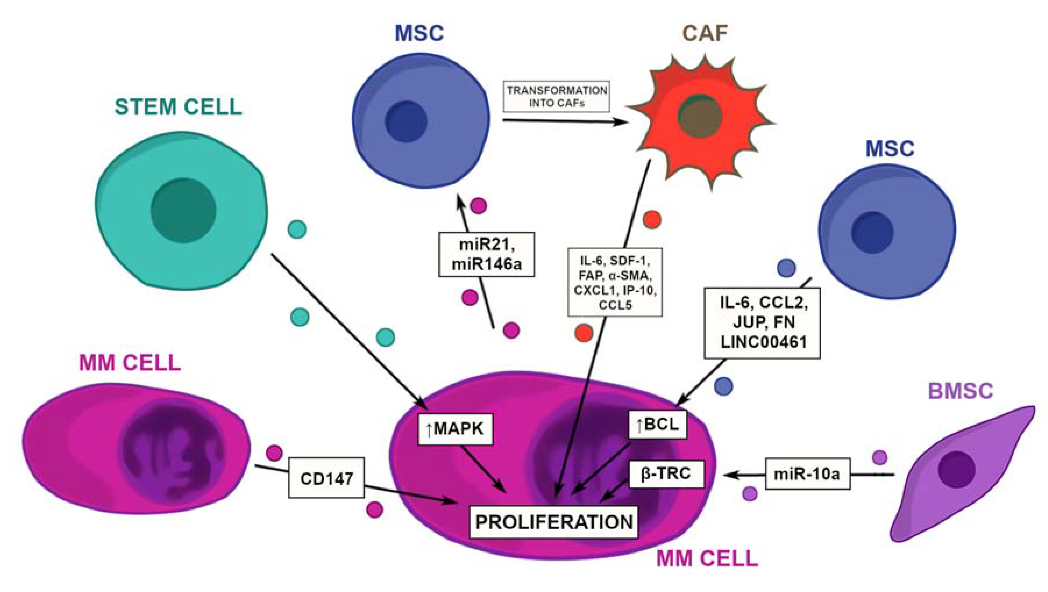Cancers 14 05575 g001 Cancers 14 05575 g001