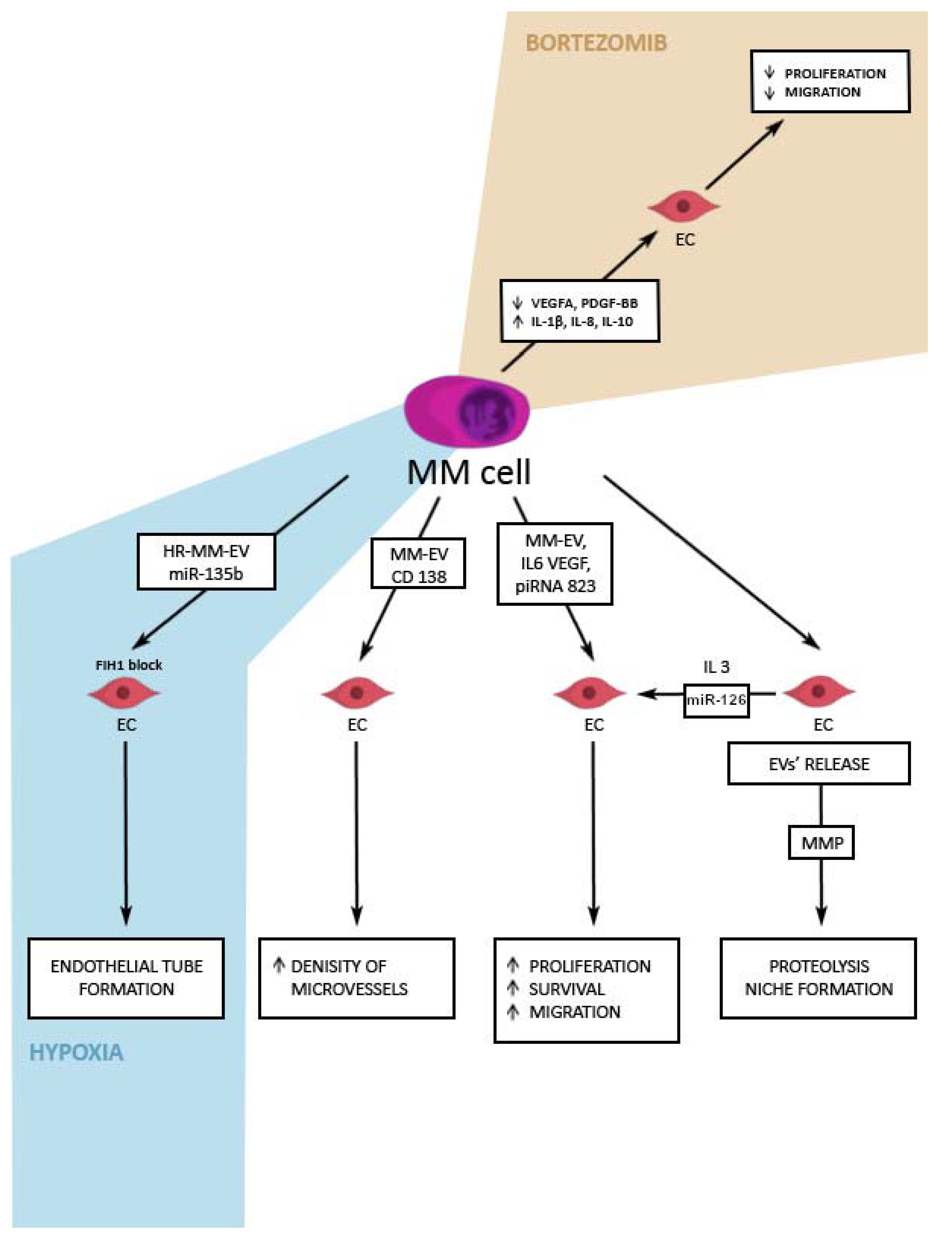 Cancers 14 05575 g002 Cancers 14 05575 g002