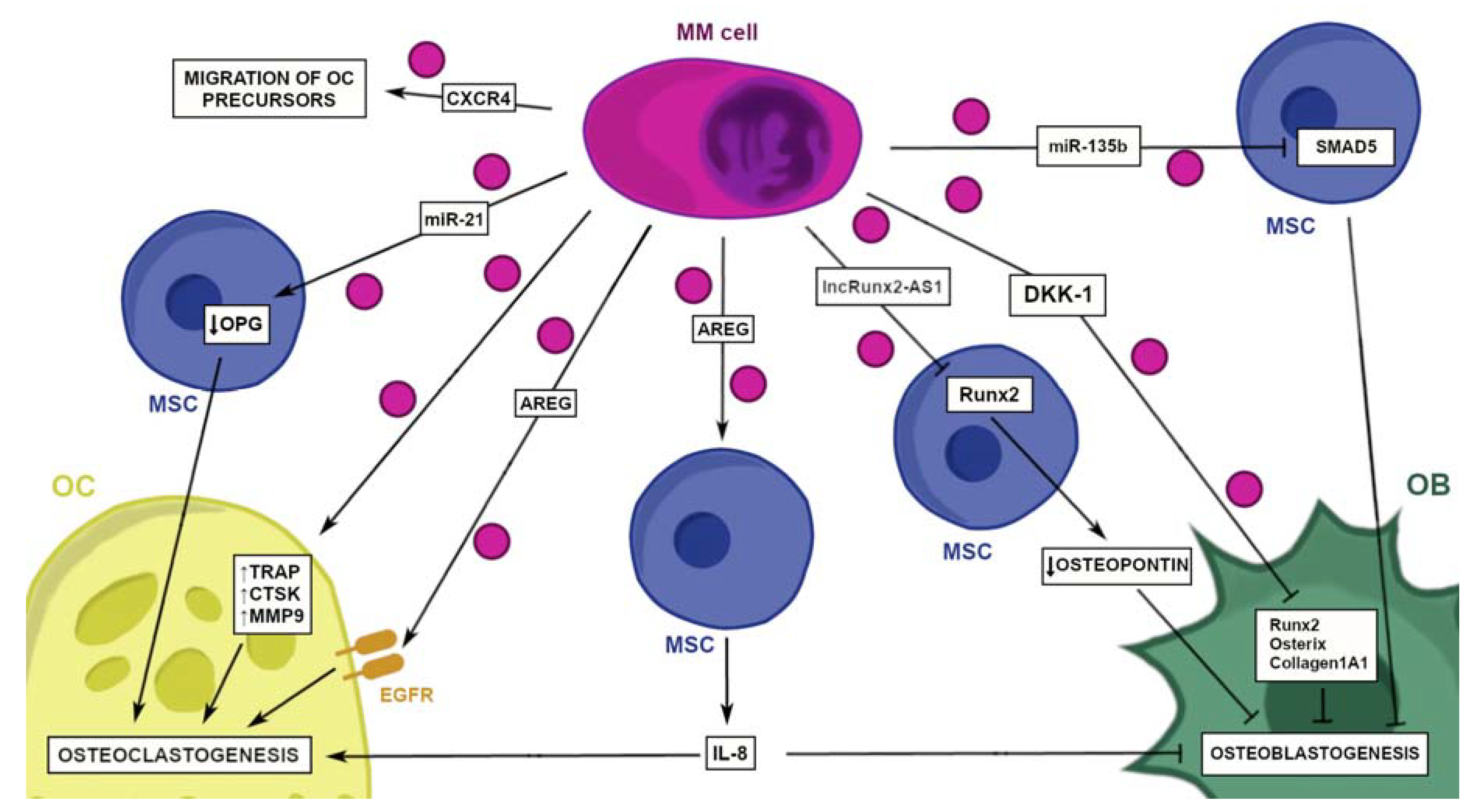 Cancers 14 05575 g003 Cancers 14 05575 g003