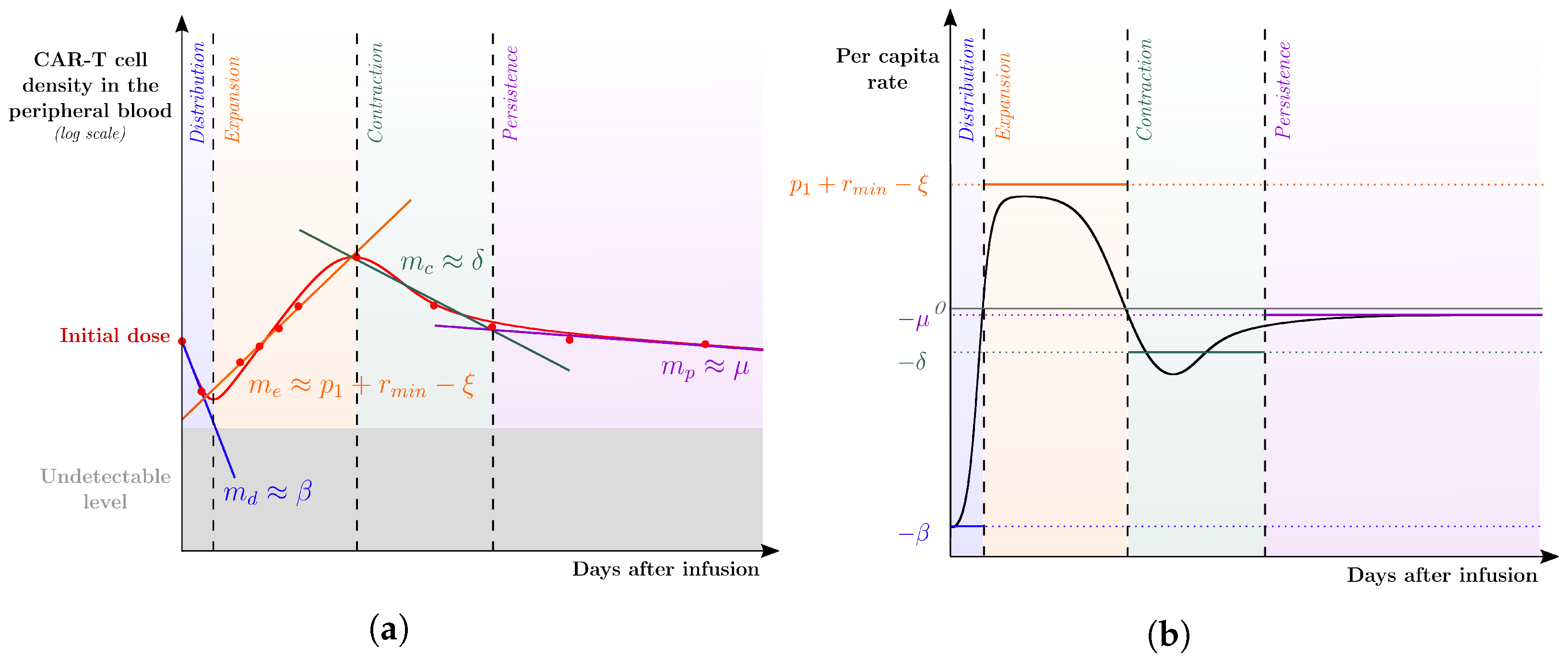 Cancers 14 05576 g002 Cancers 14 05576 g002