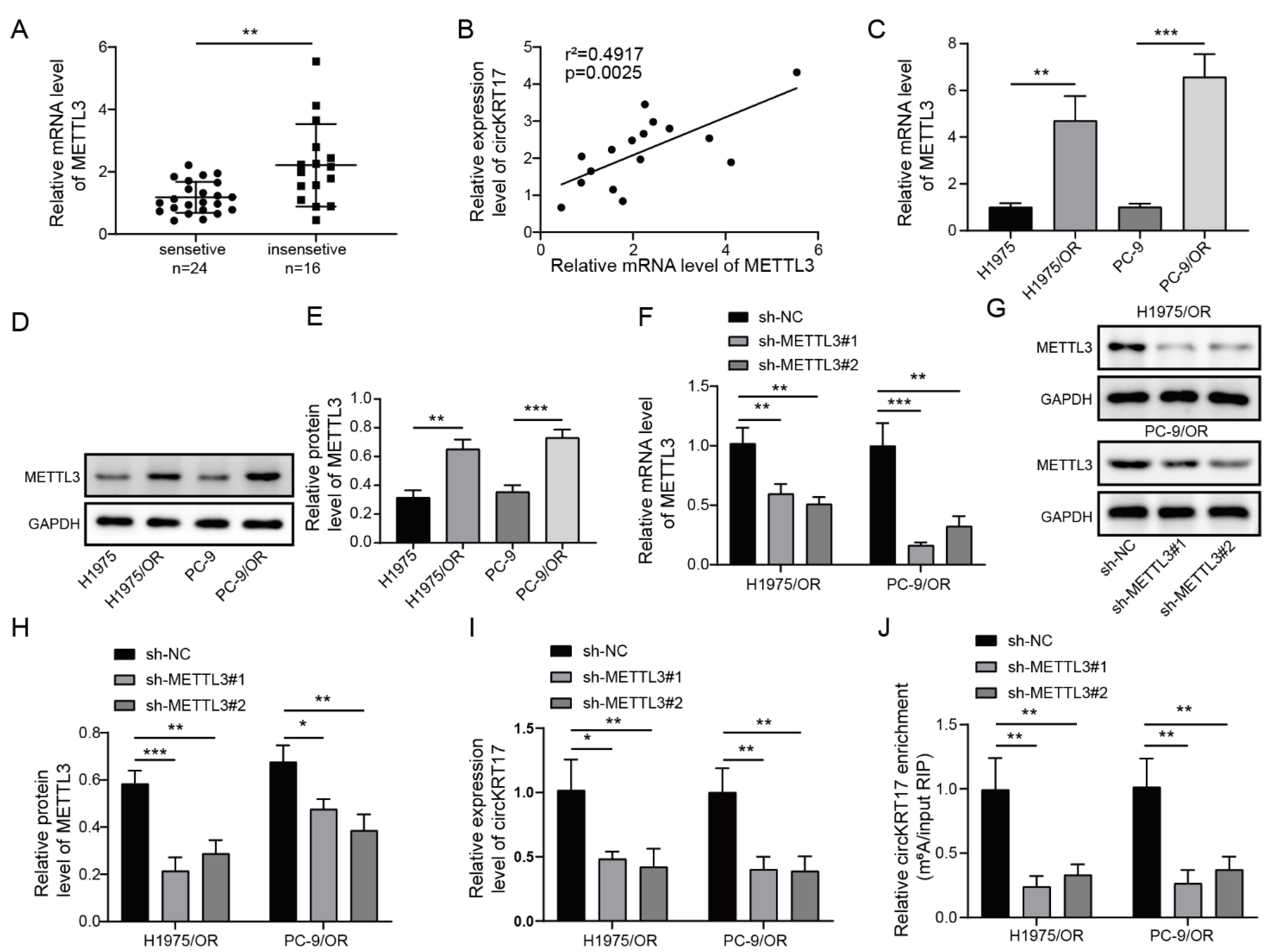 Cancers 14 05582 g003 Cancers 14 05582 g003