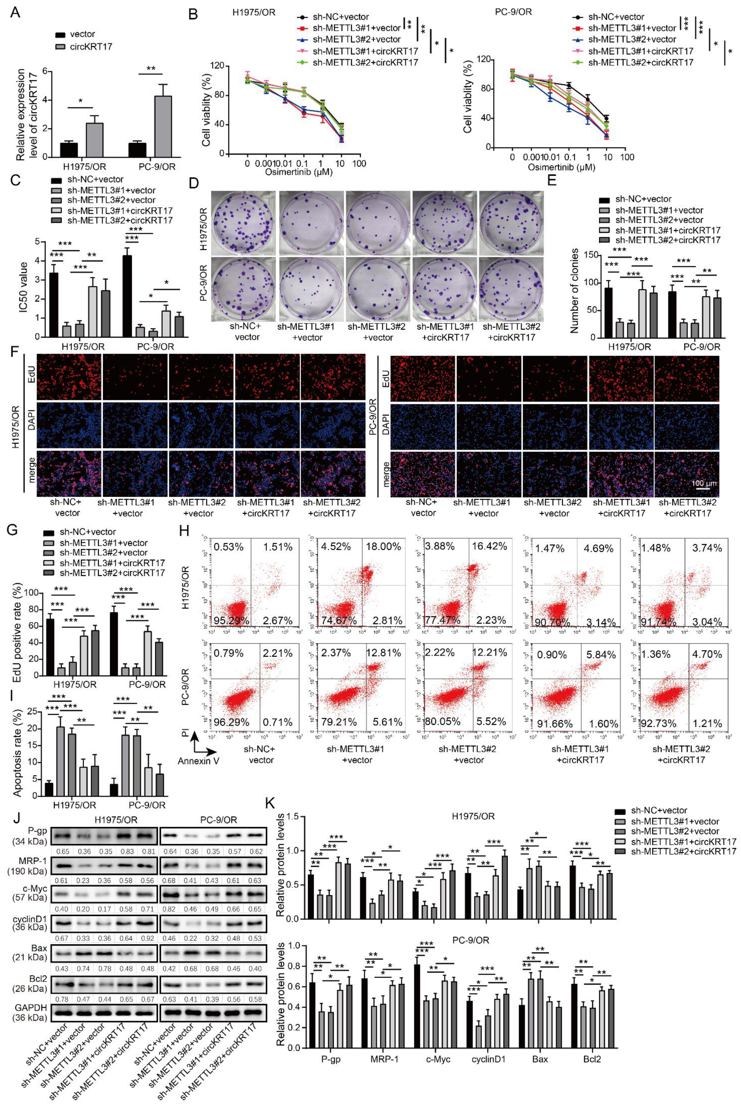Cancers 14 05582 g004 Cancers 14 05582 g004