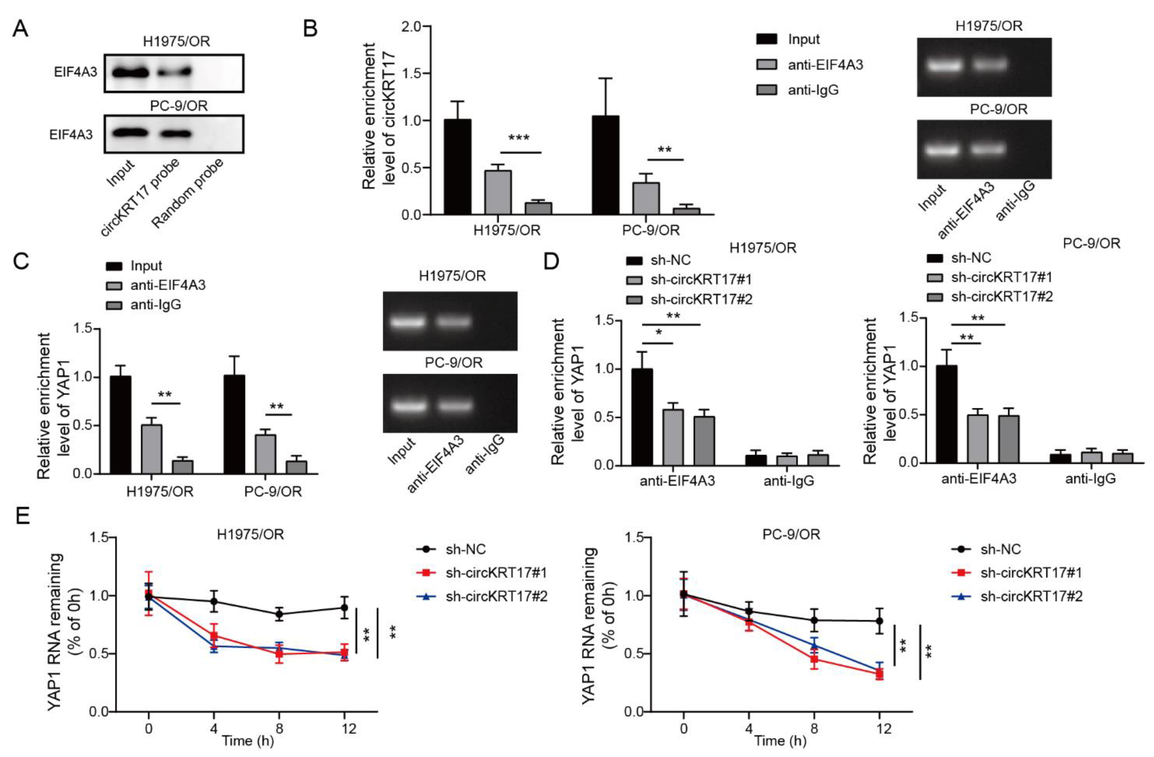 Cancers 14 05582 g006 Cancers 14 05582 g006