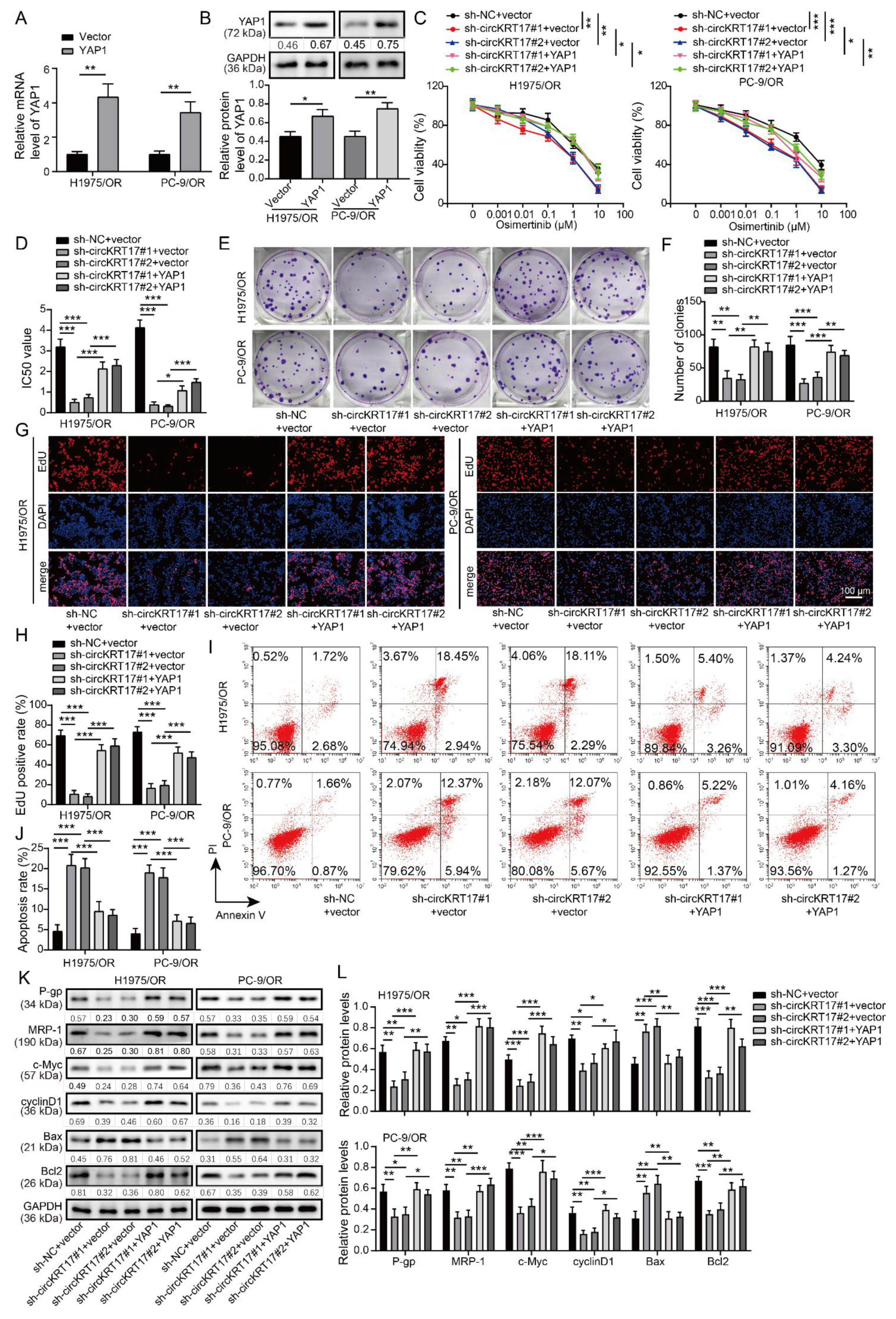 Cancers 14 05582 g007 Cancers 14 05582 g007