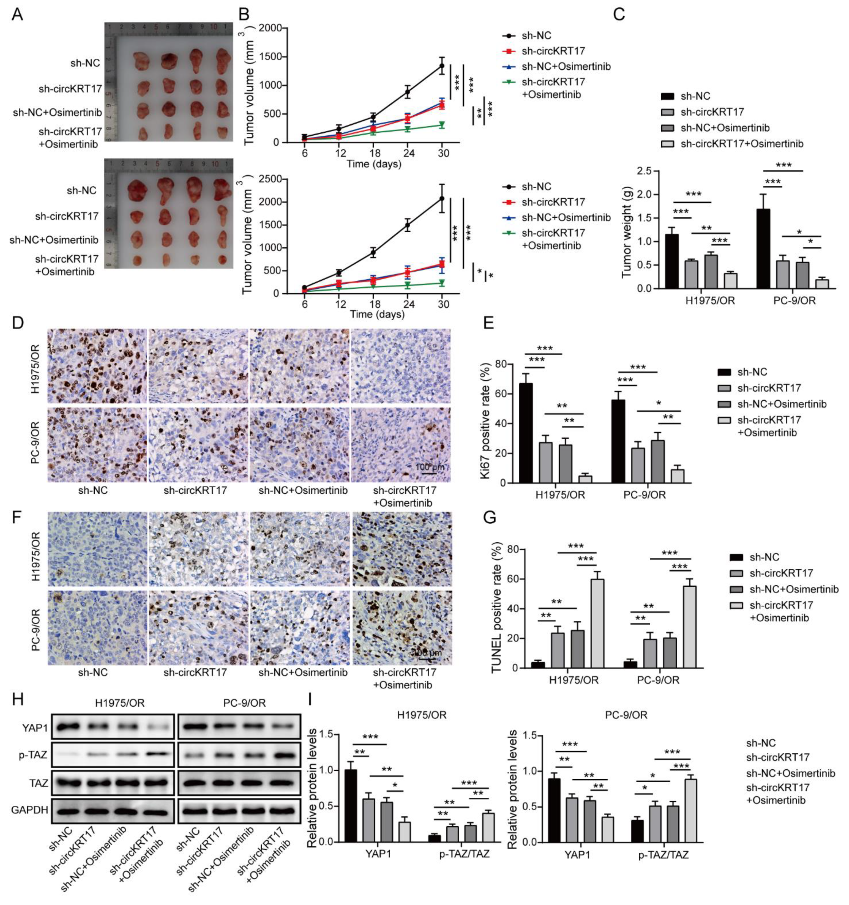 Cancers 14 05582 g008 Cancers 14 05582 g008