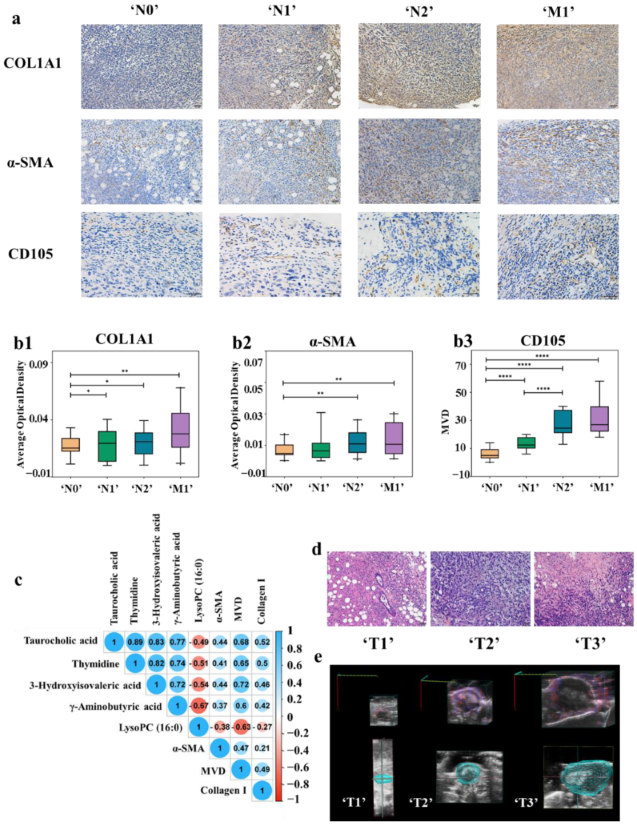Cancers 14 05589 g004 Cancers 14 05589 g004