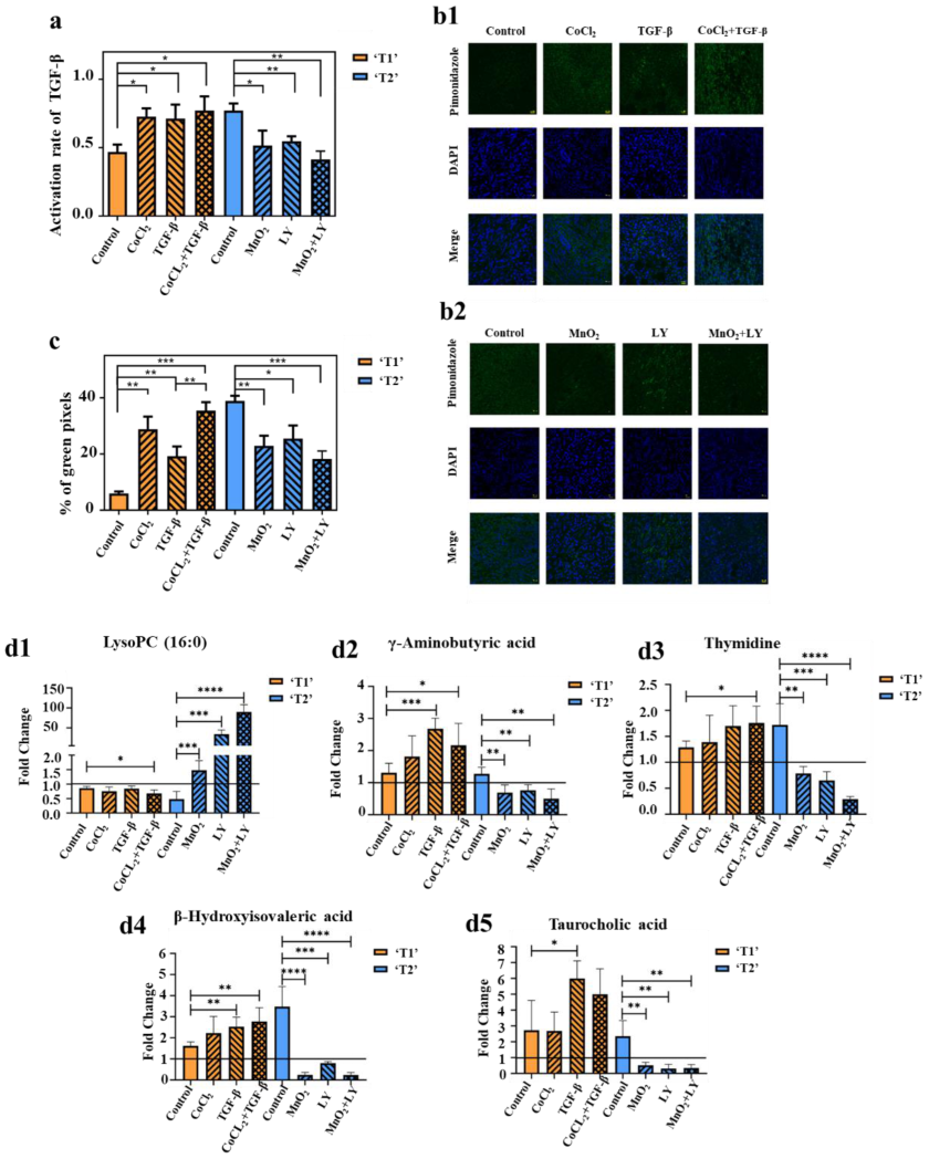 Cancers 14 05589 g005 Cancers 14 05589 g005