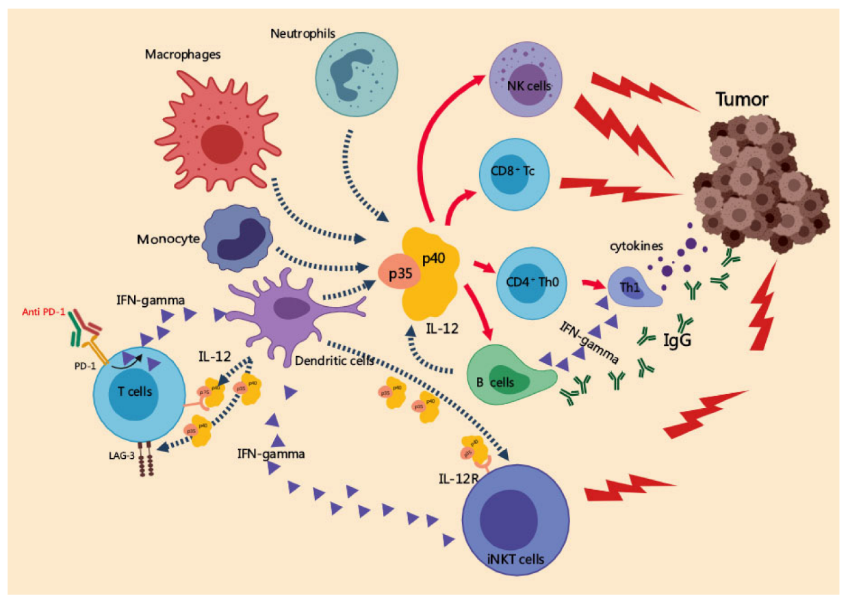 Cancers 14 05592 g002 Cancers 14 05592 g002