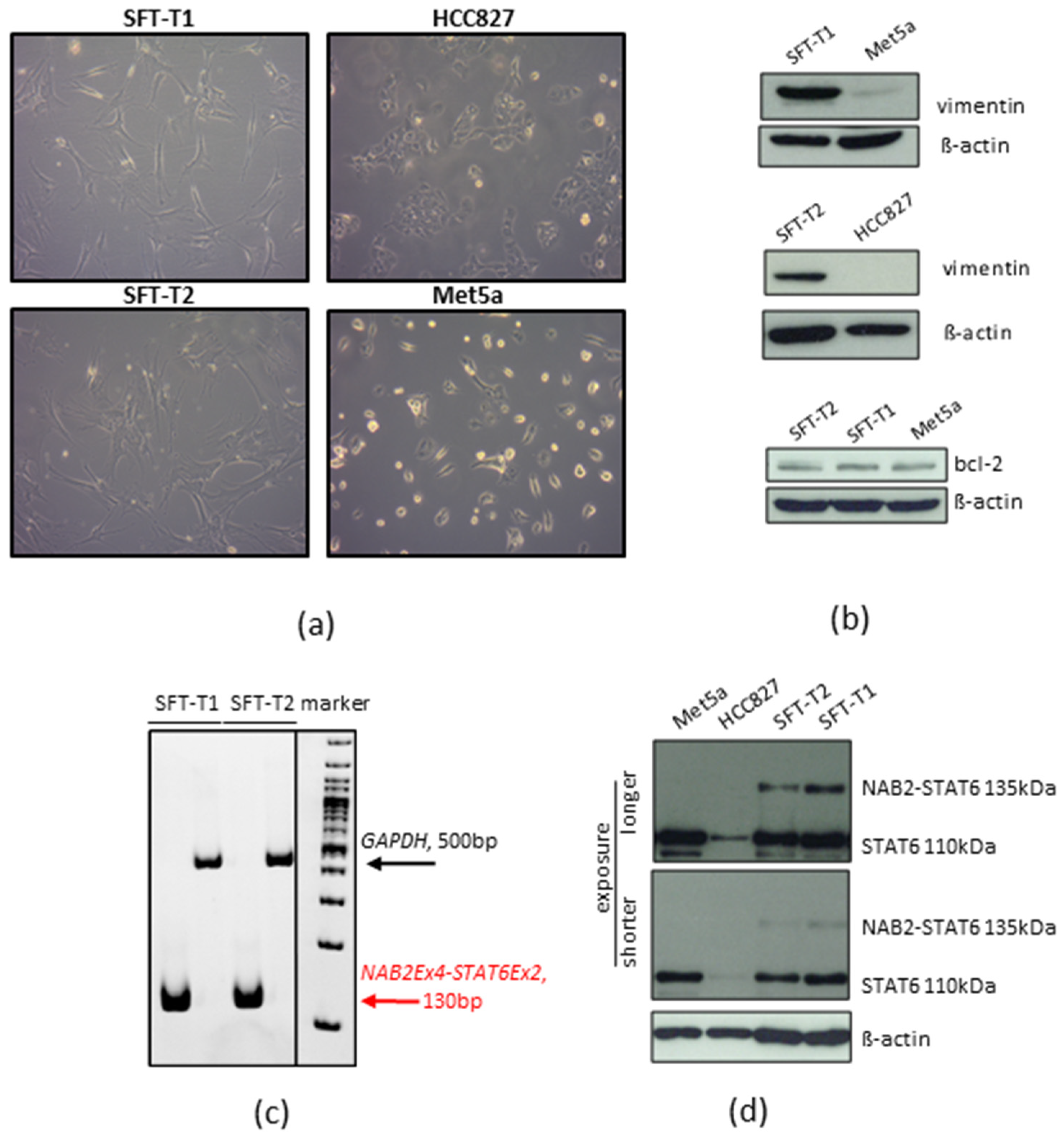 Cancers 14 05602 g003 Cancers 14 05602 g003