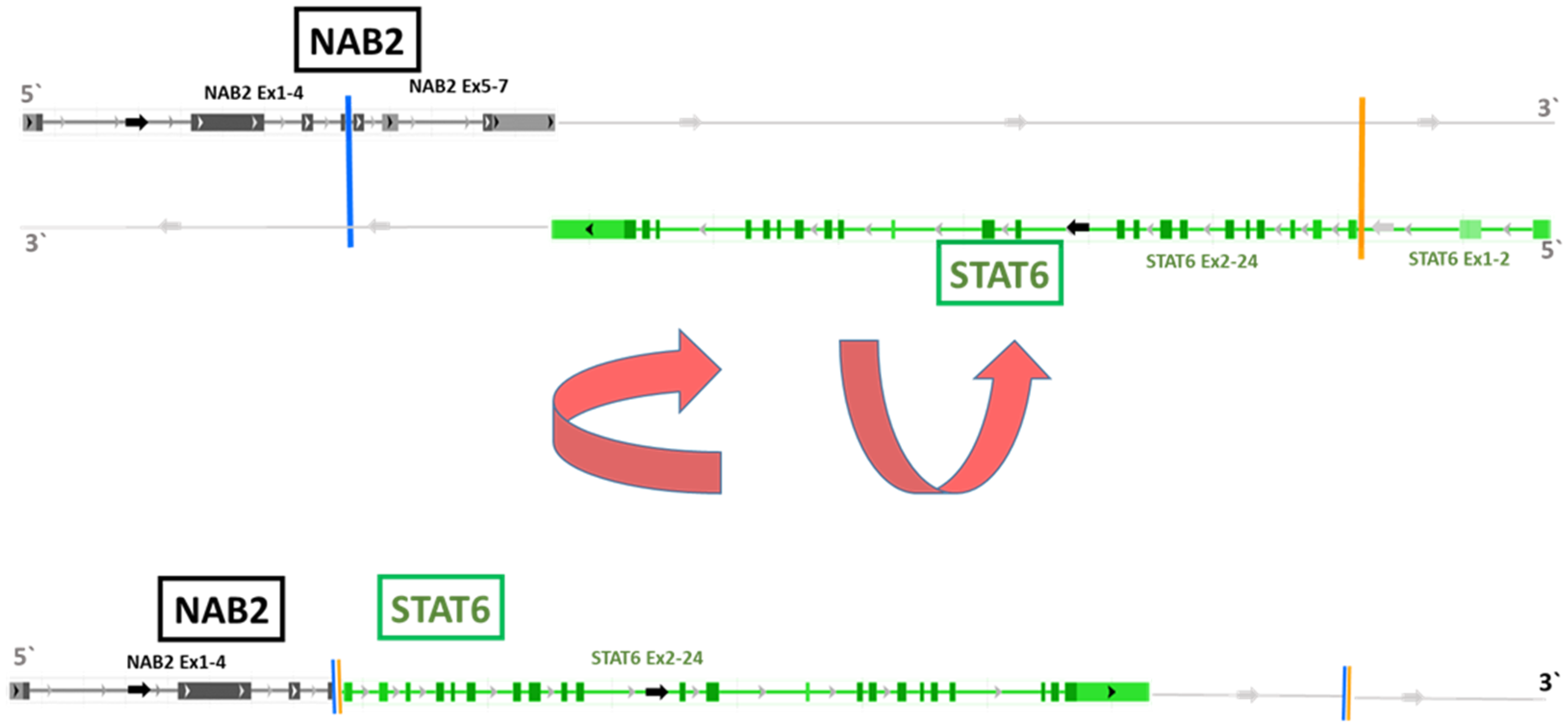 Cancers 14 05602 g004 Cancers 14 05602 g004