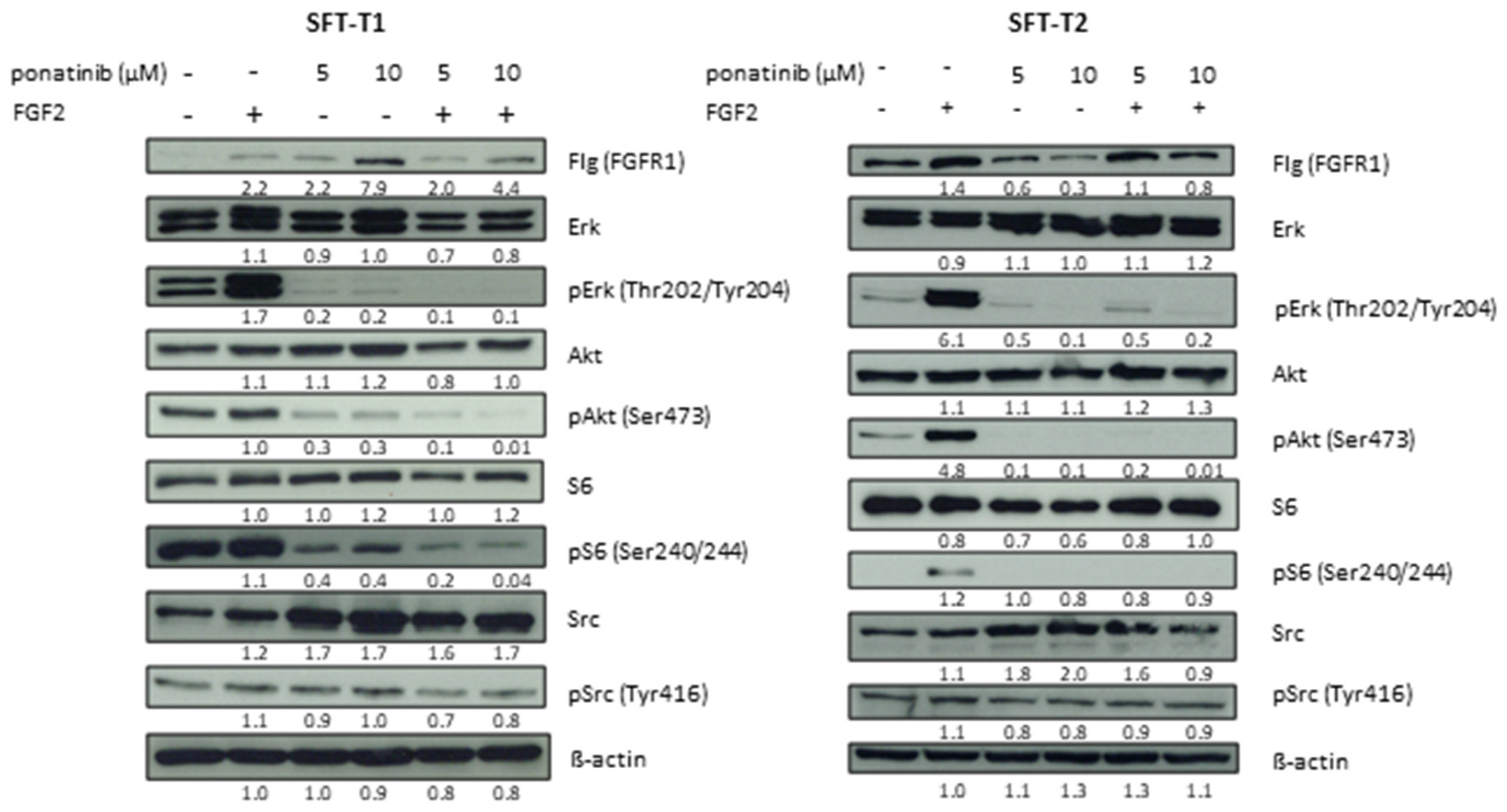 Cancers 14 05602 g006 Cancers 14 05602 g006