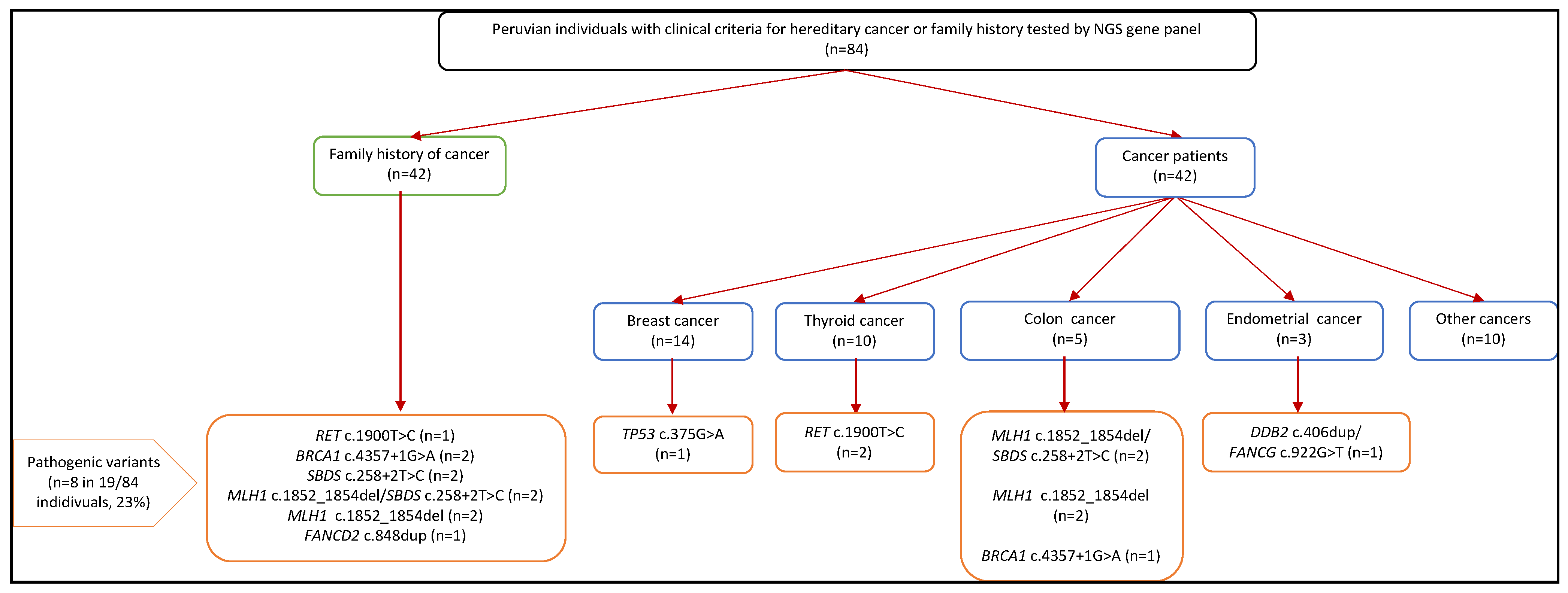Cancers 14 05603 g002