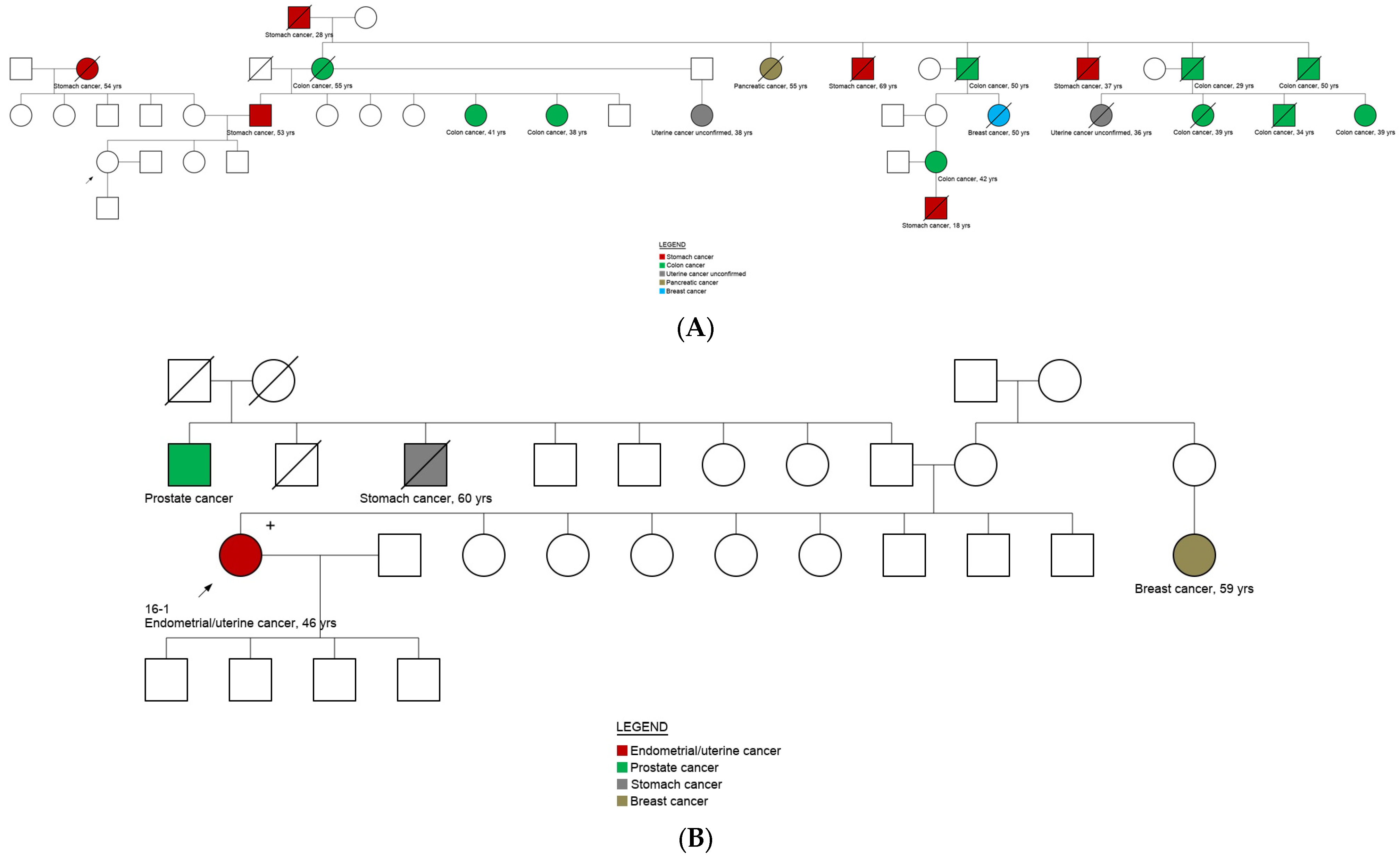 Cancers 14 05603 g003