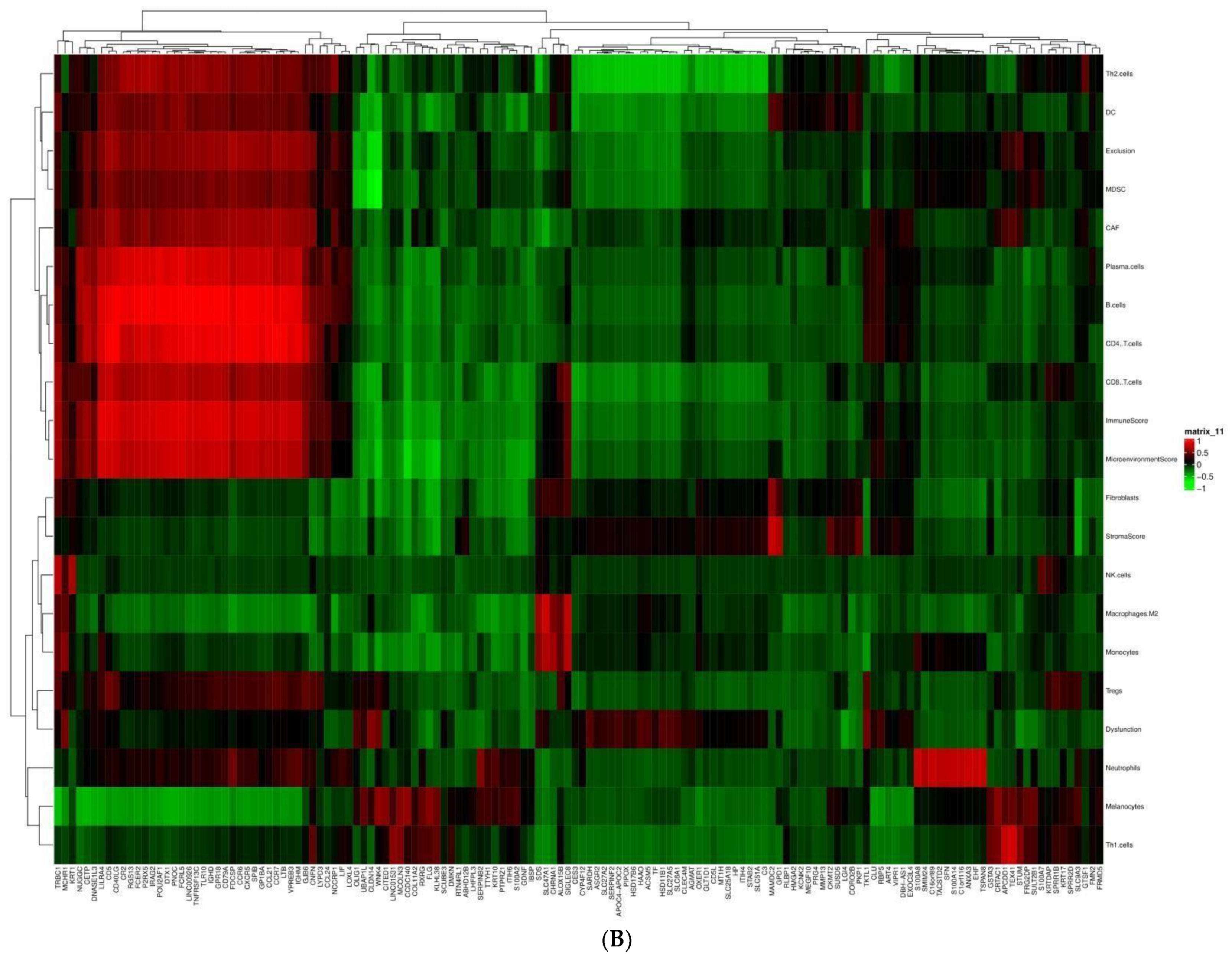 Cancers 14 05605 g003b