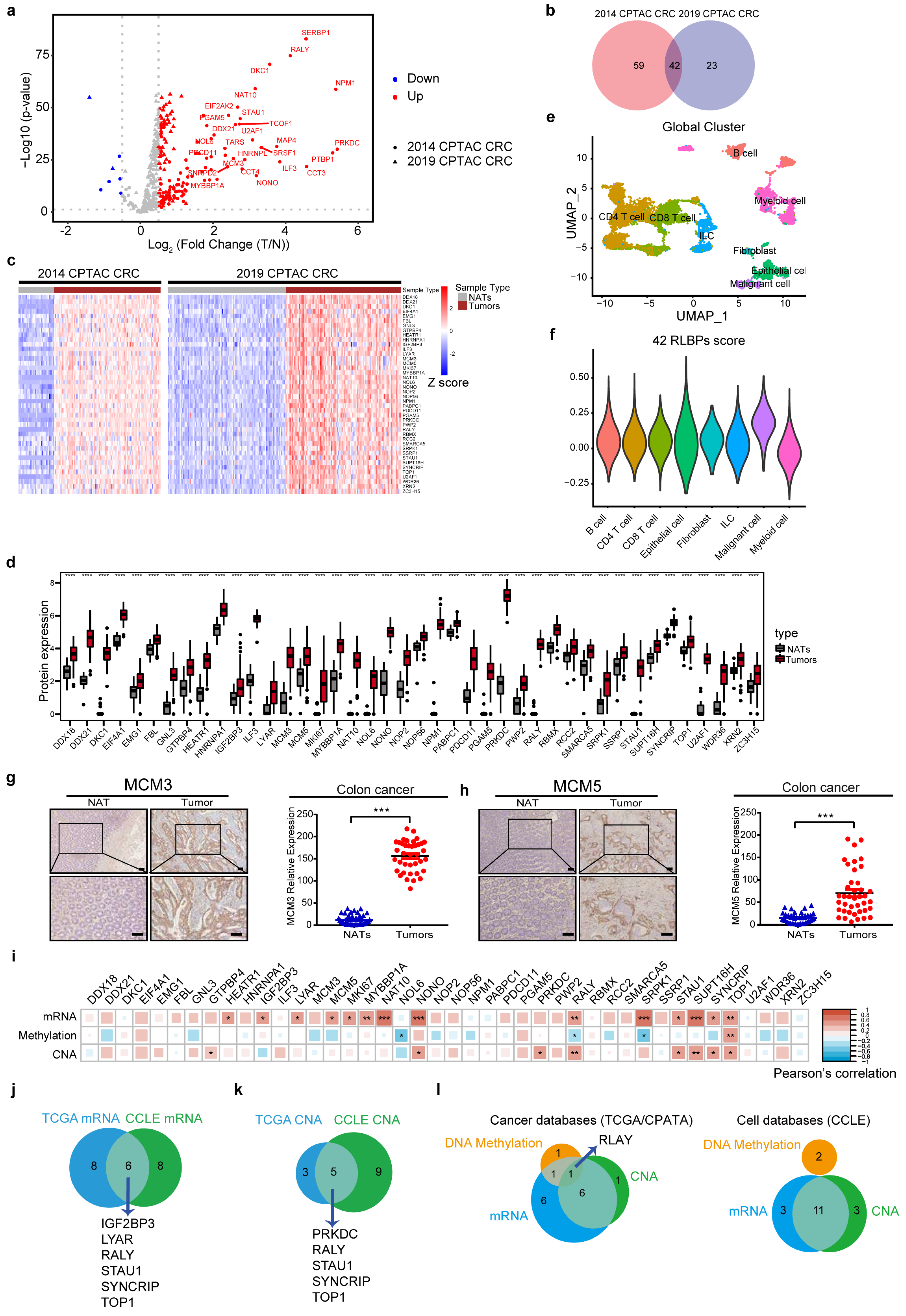Cancers 14 05607 g005