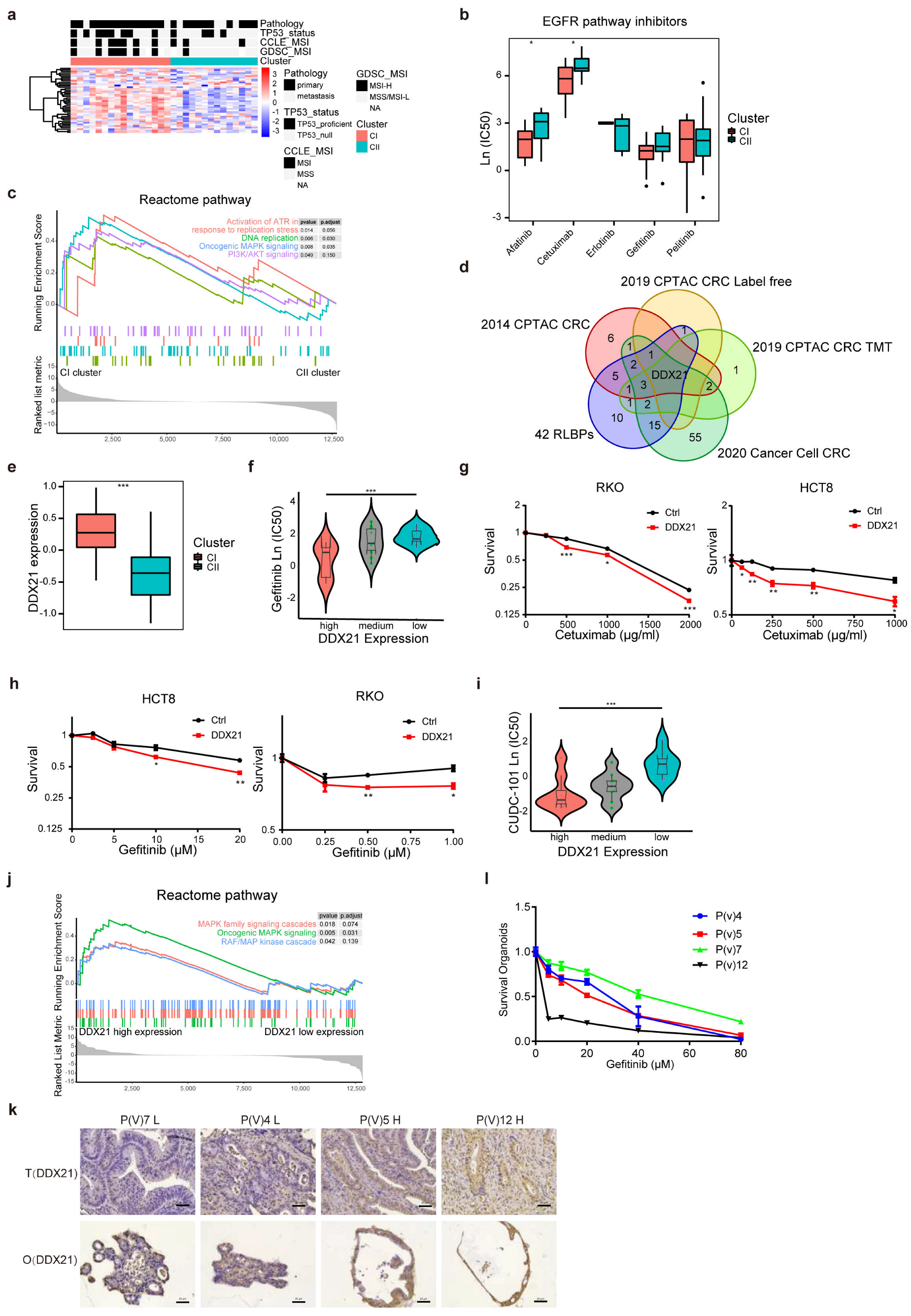 Cancers 14 05607 g006
