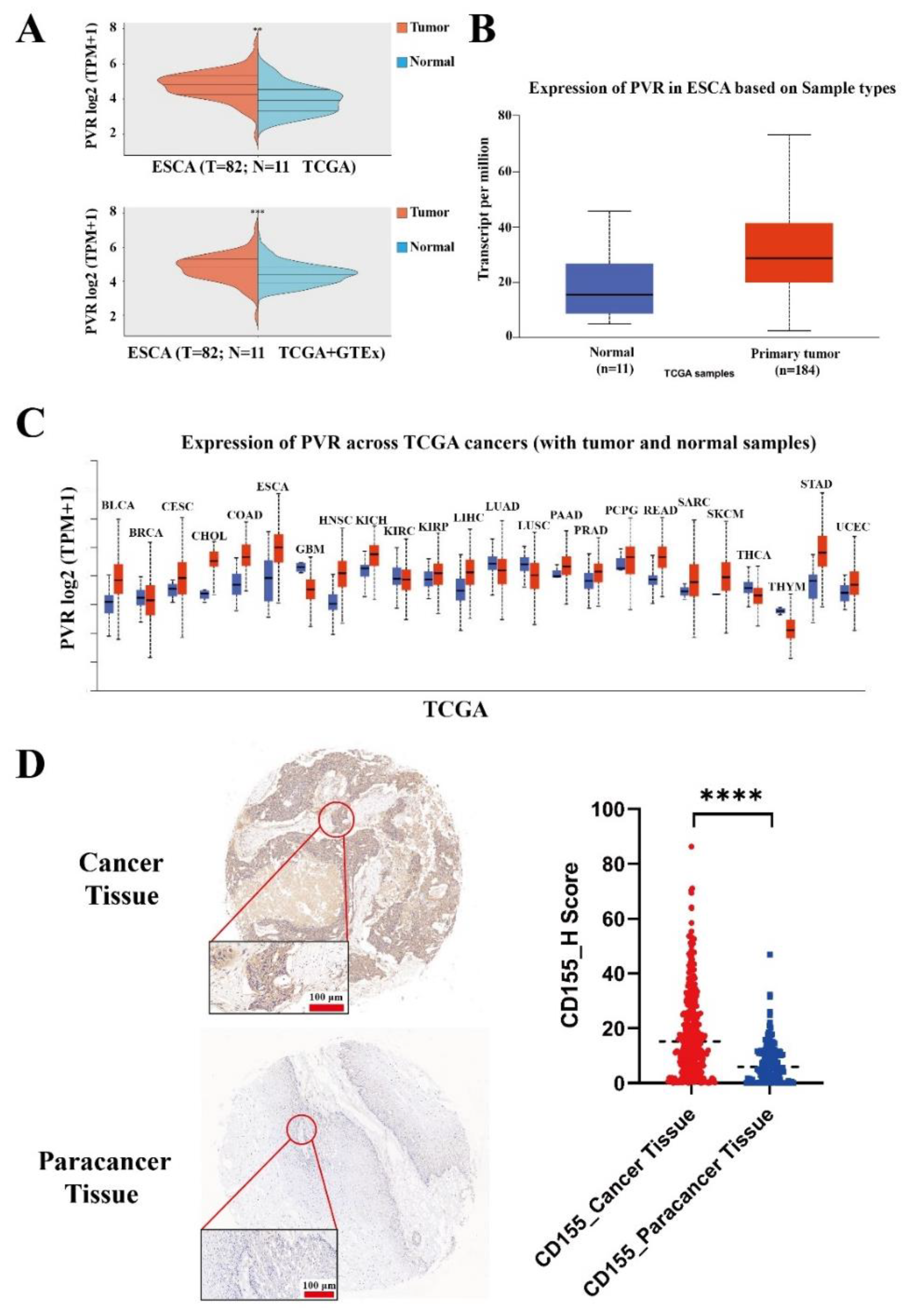 Cancers 14 05610 g001