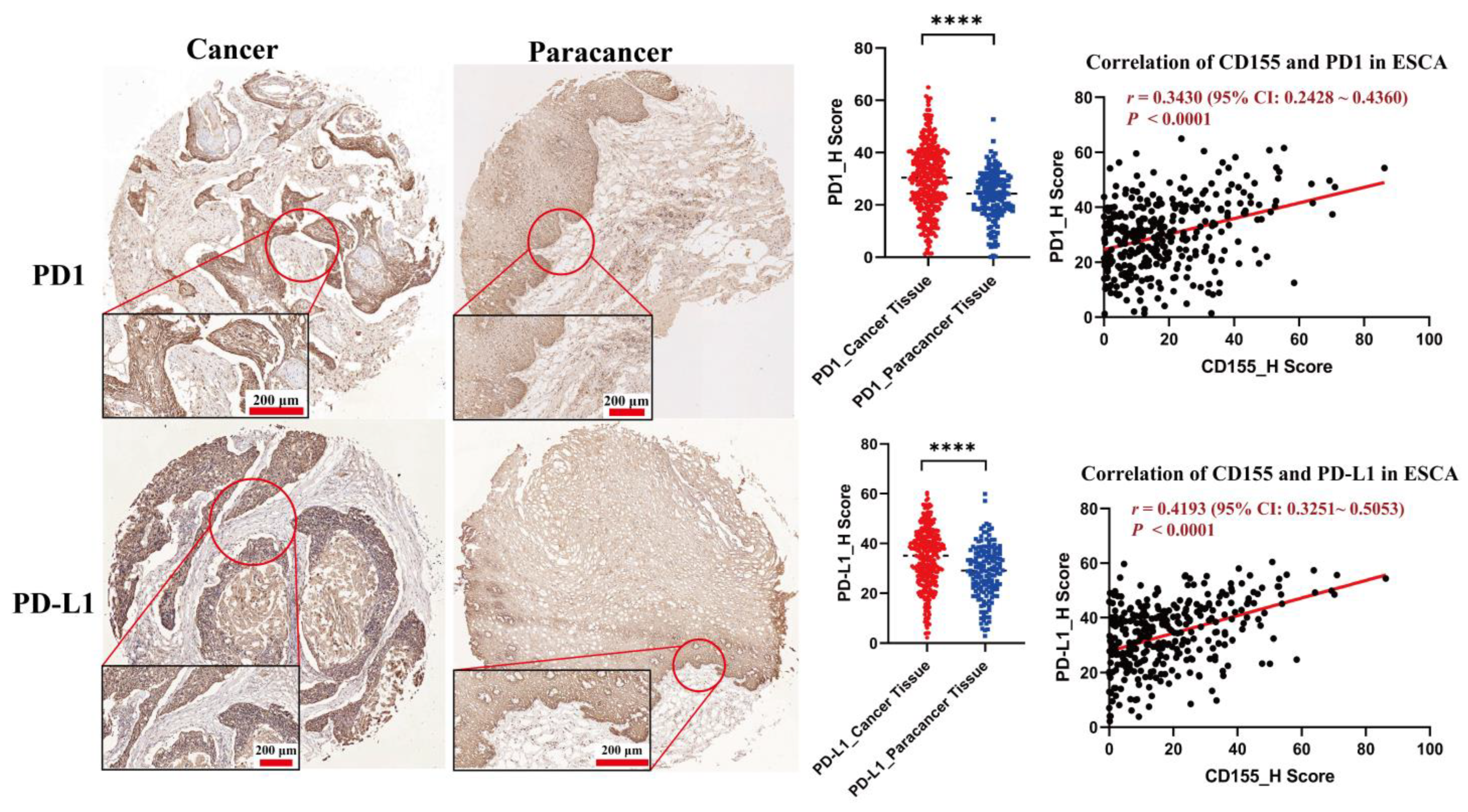 Cancers 14 05610 g005