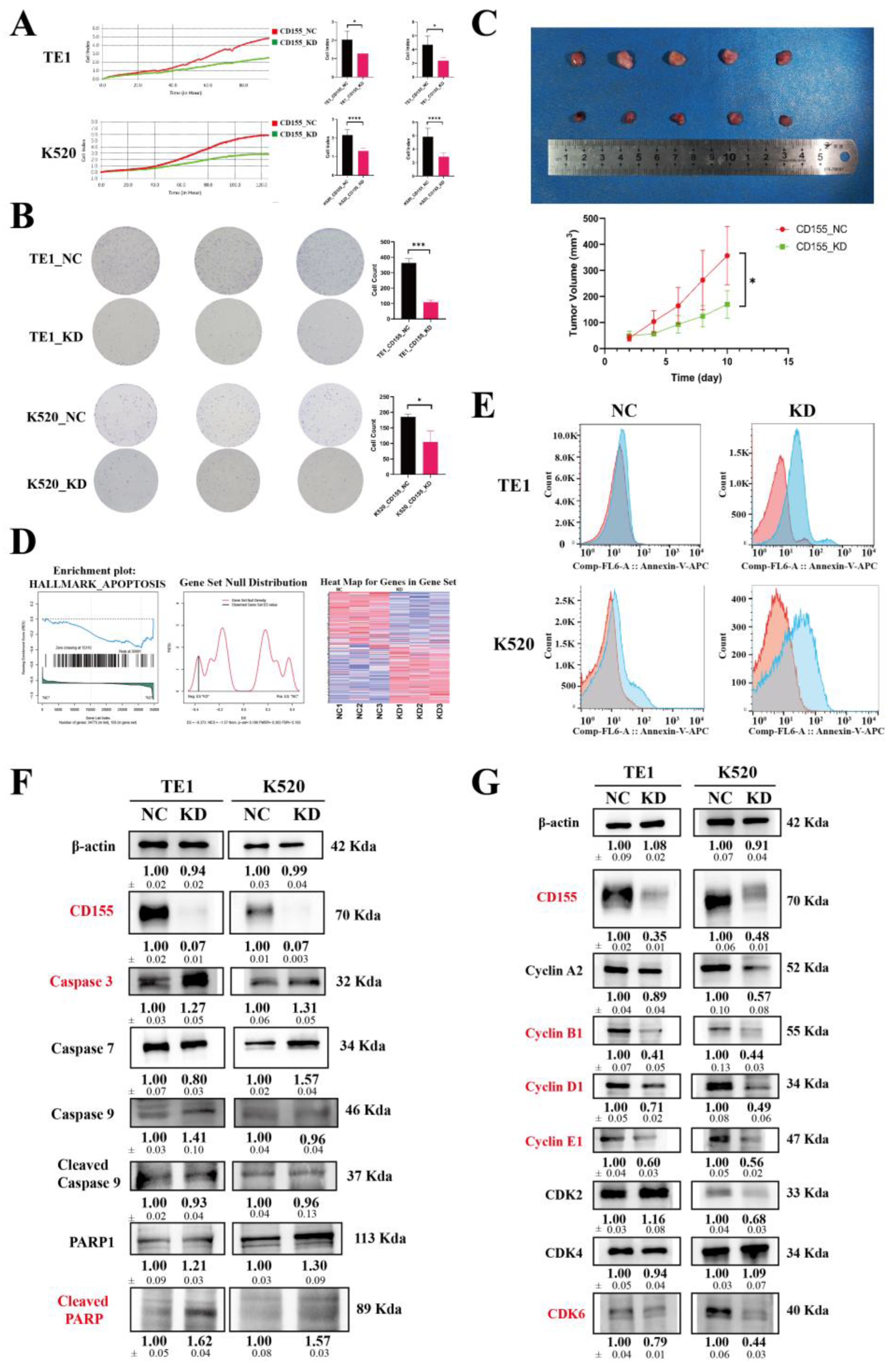 Cancers 14 05610 g008