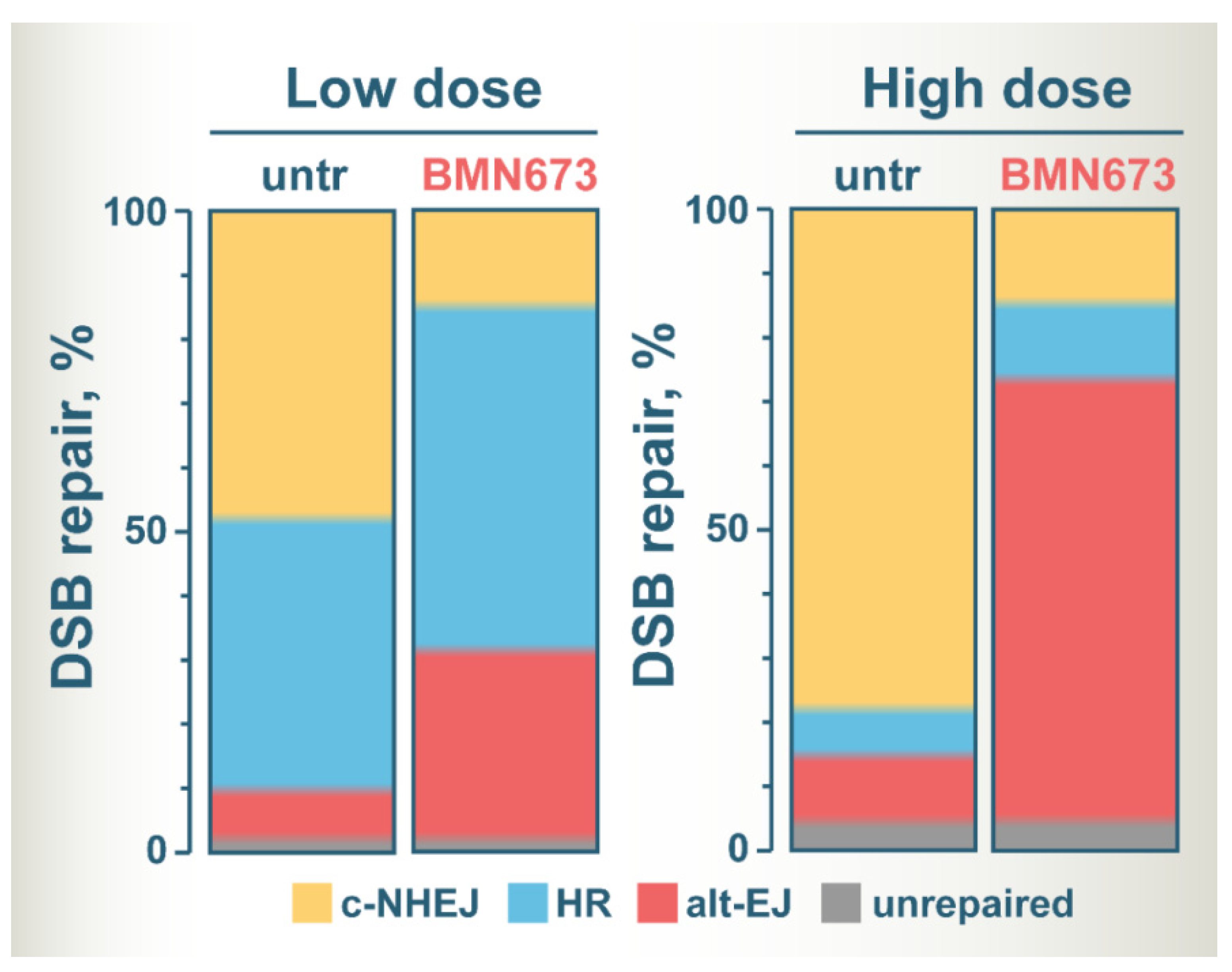 Cancers 14 05619 g003