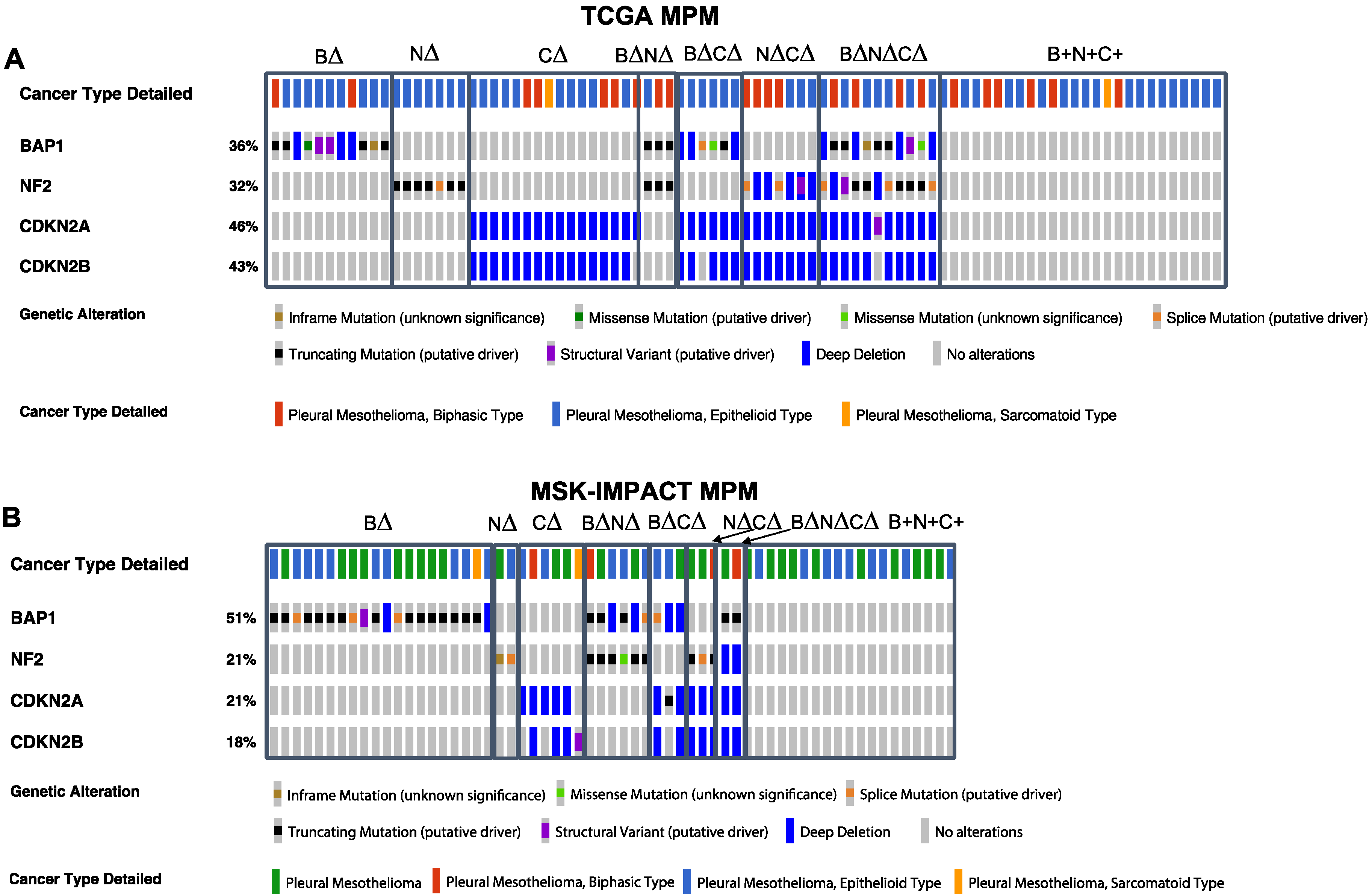 Cancers 14 05626 g001 Cancers 14 05626 g001