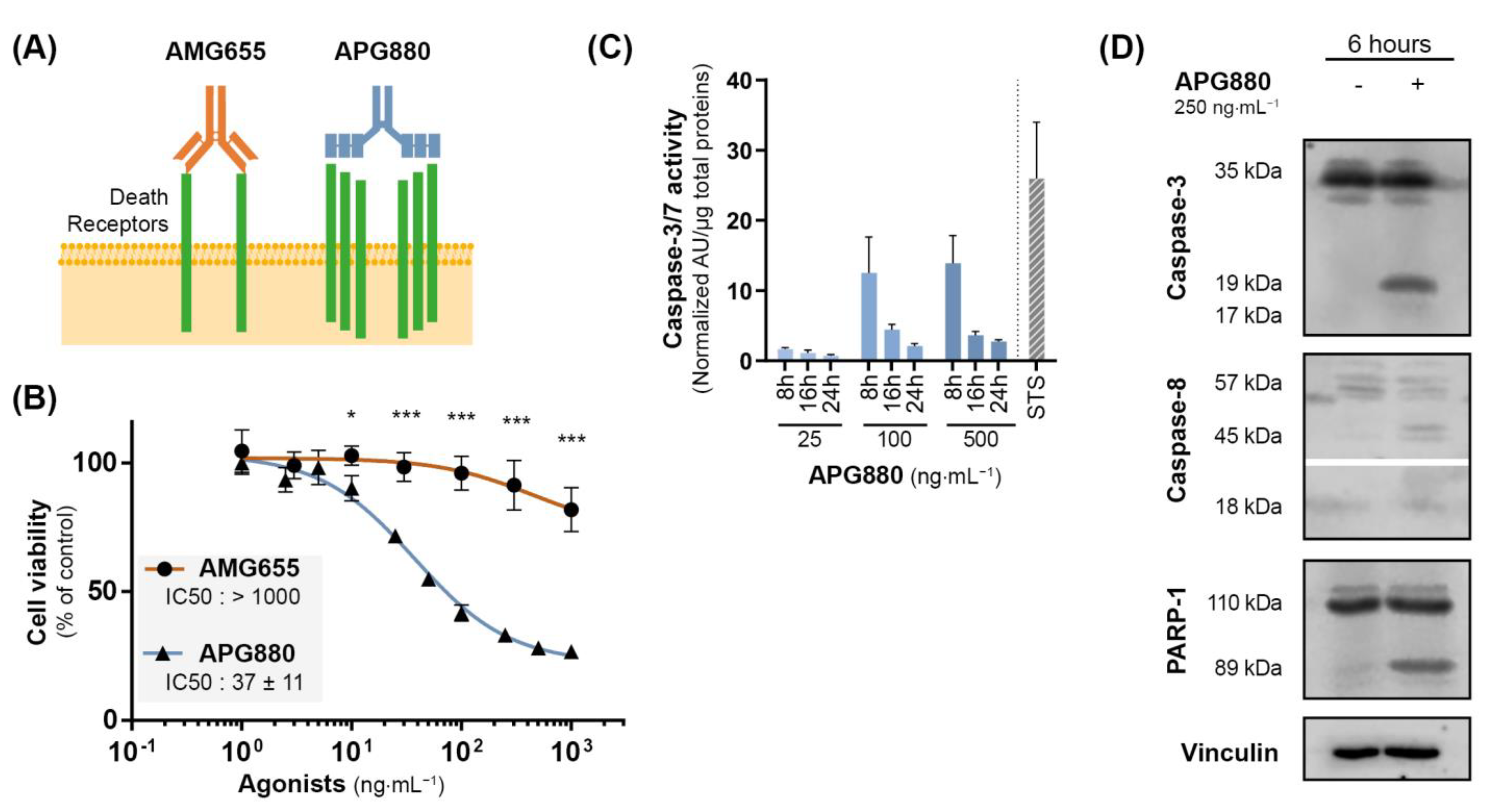Cancers 14 05627 g005