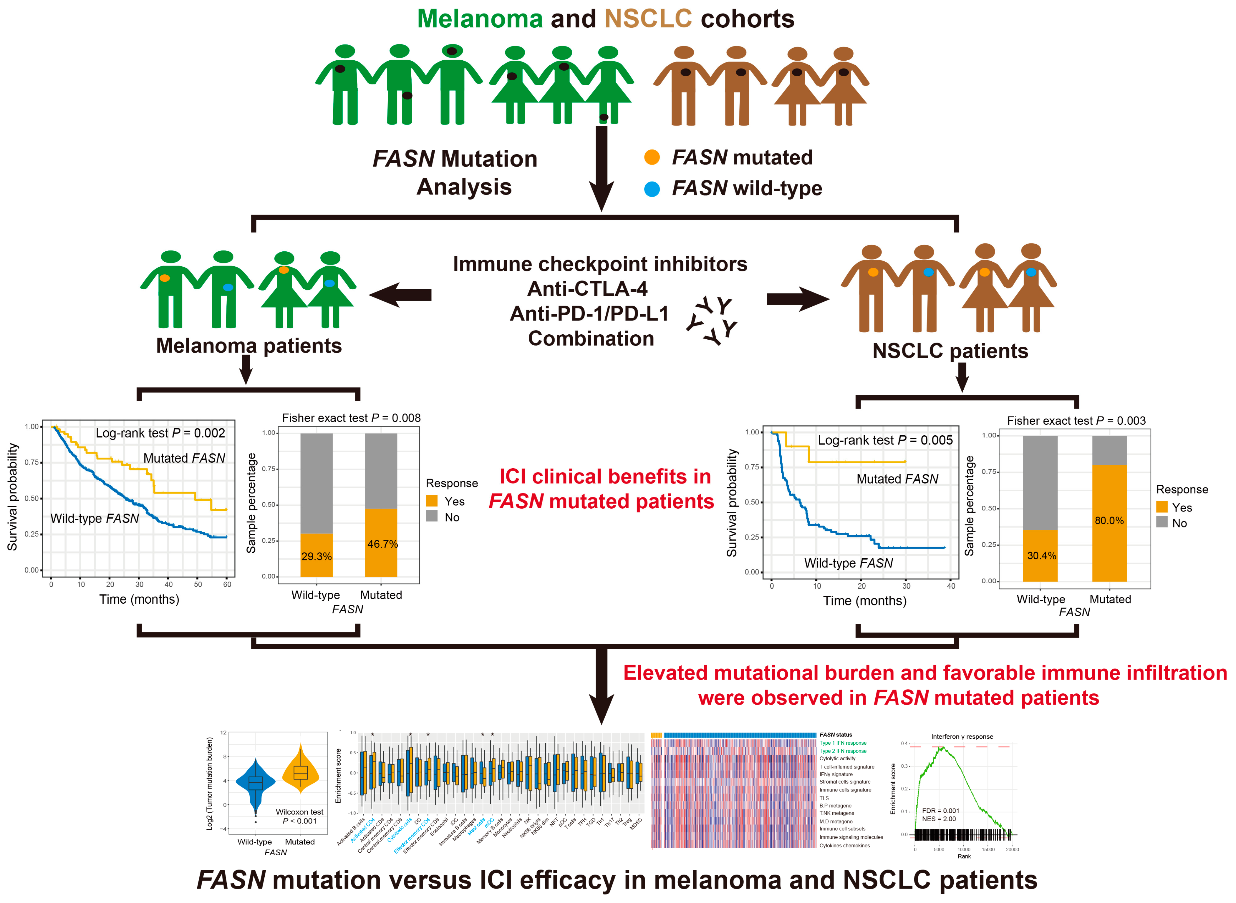 Cancers 14 05638 g001 Cancers 14 05638 g001