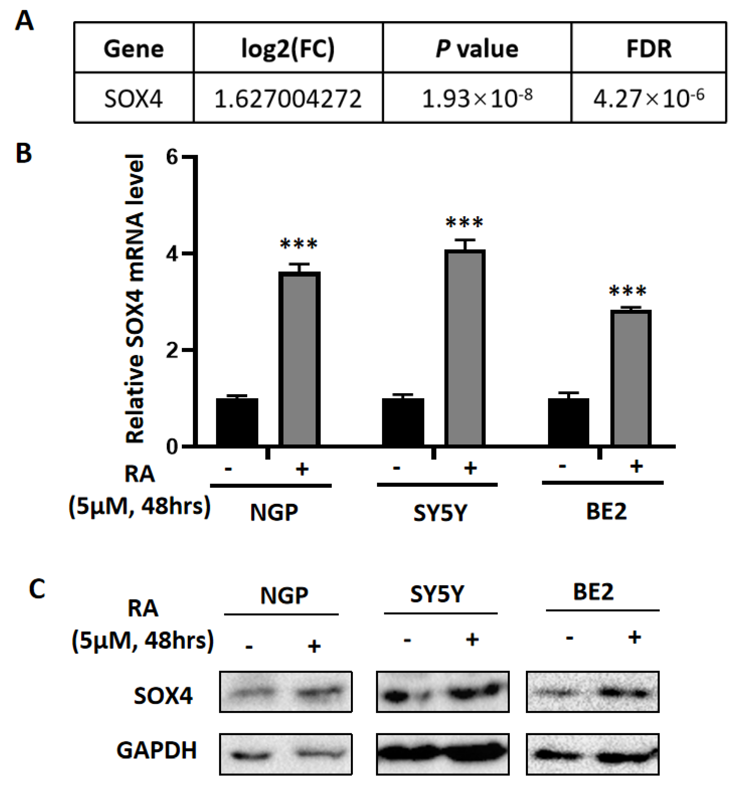 Cancers 14 05642 g002 Cancers 14 05642 g002