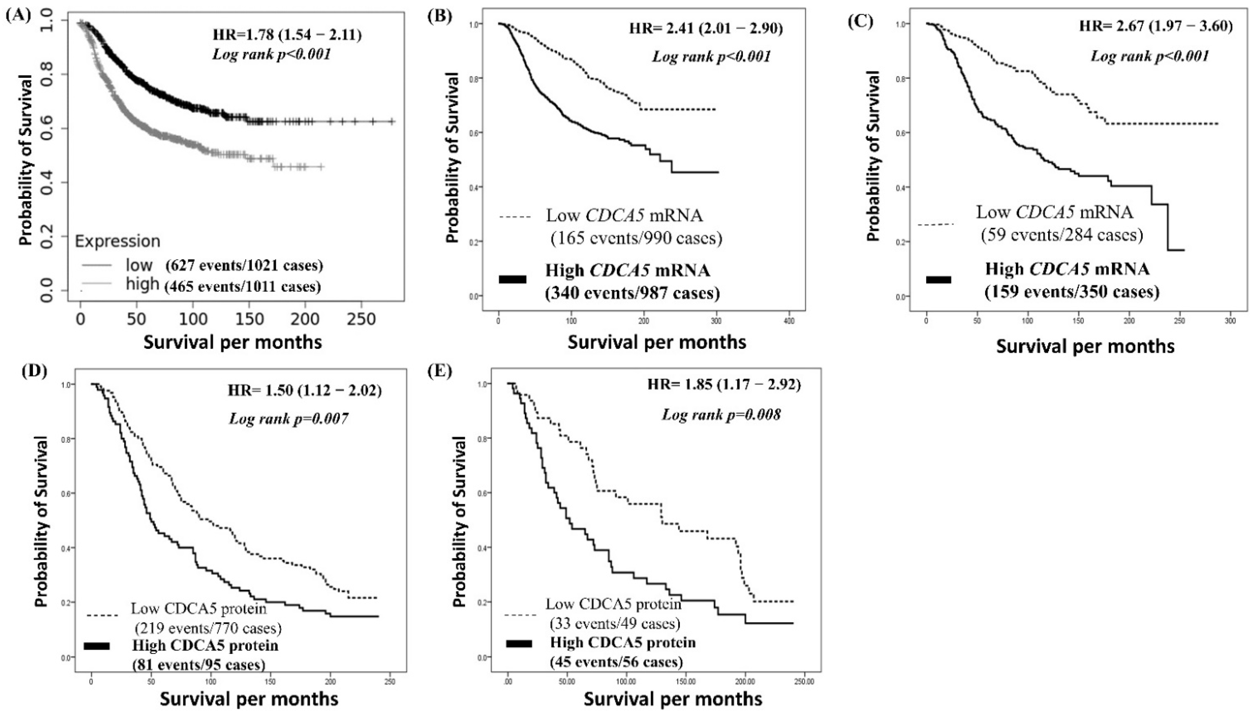 Cancers 14 05643 g002 Cancers 14 05643 g002