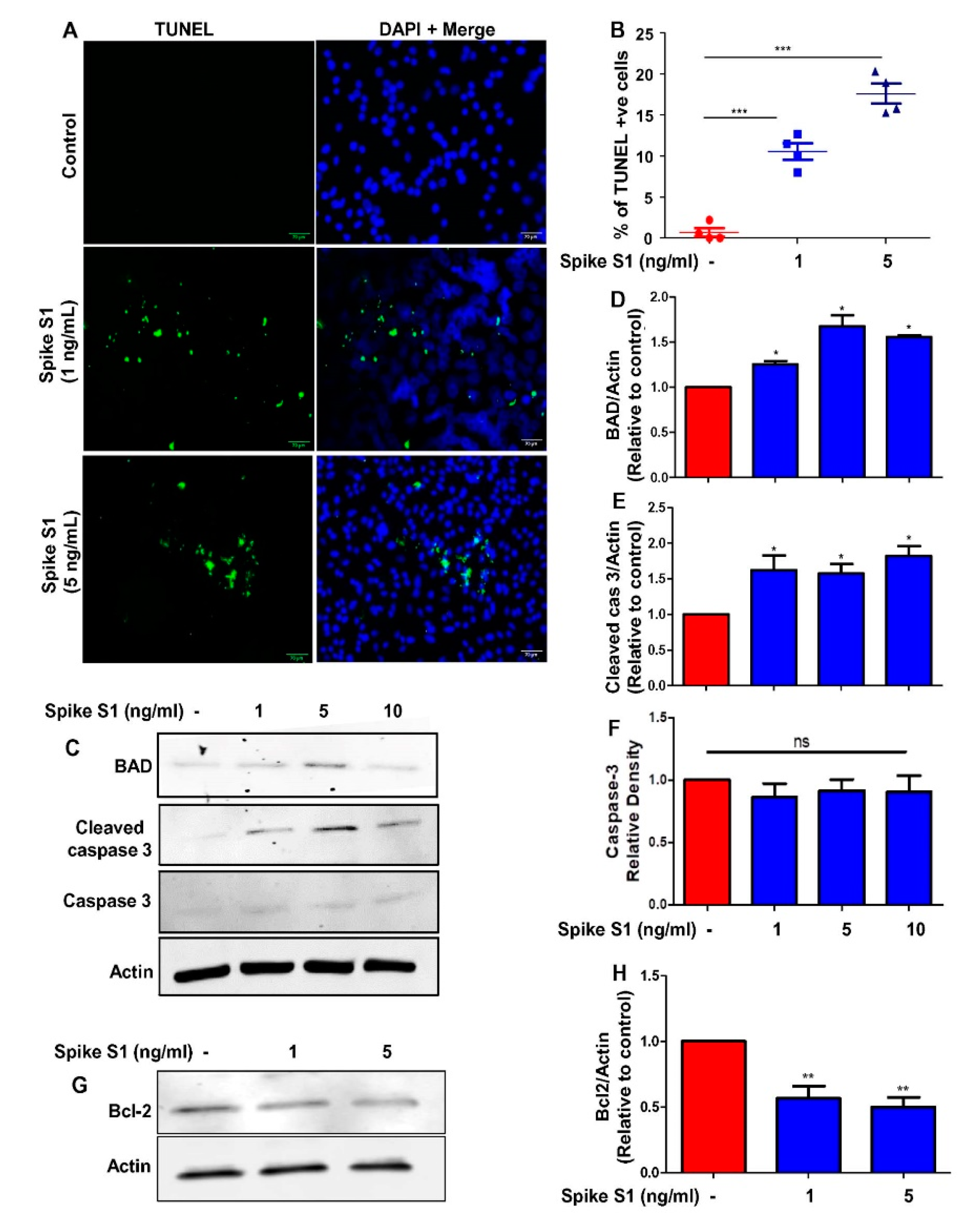 Cancers 14 05648 g003 Cancers 14 05648 g003
