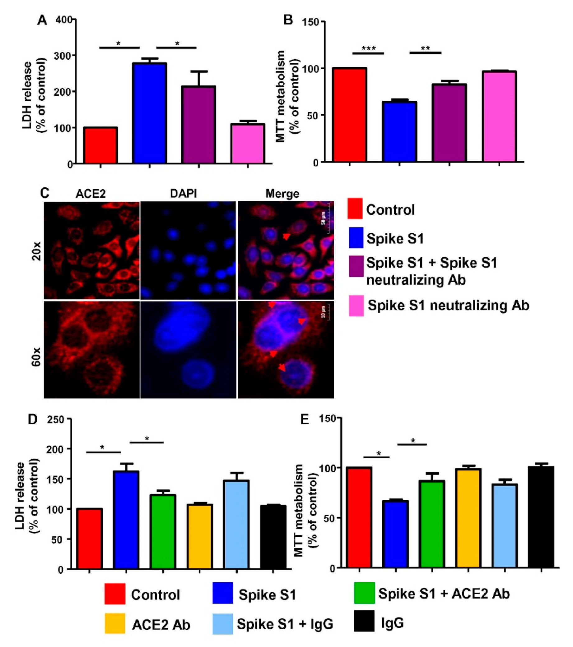 Cancers 14 05648 g004 Cancers 14 05648 g004