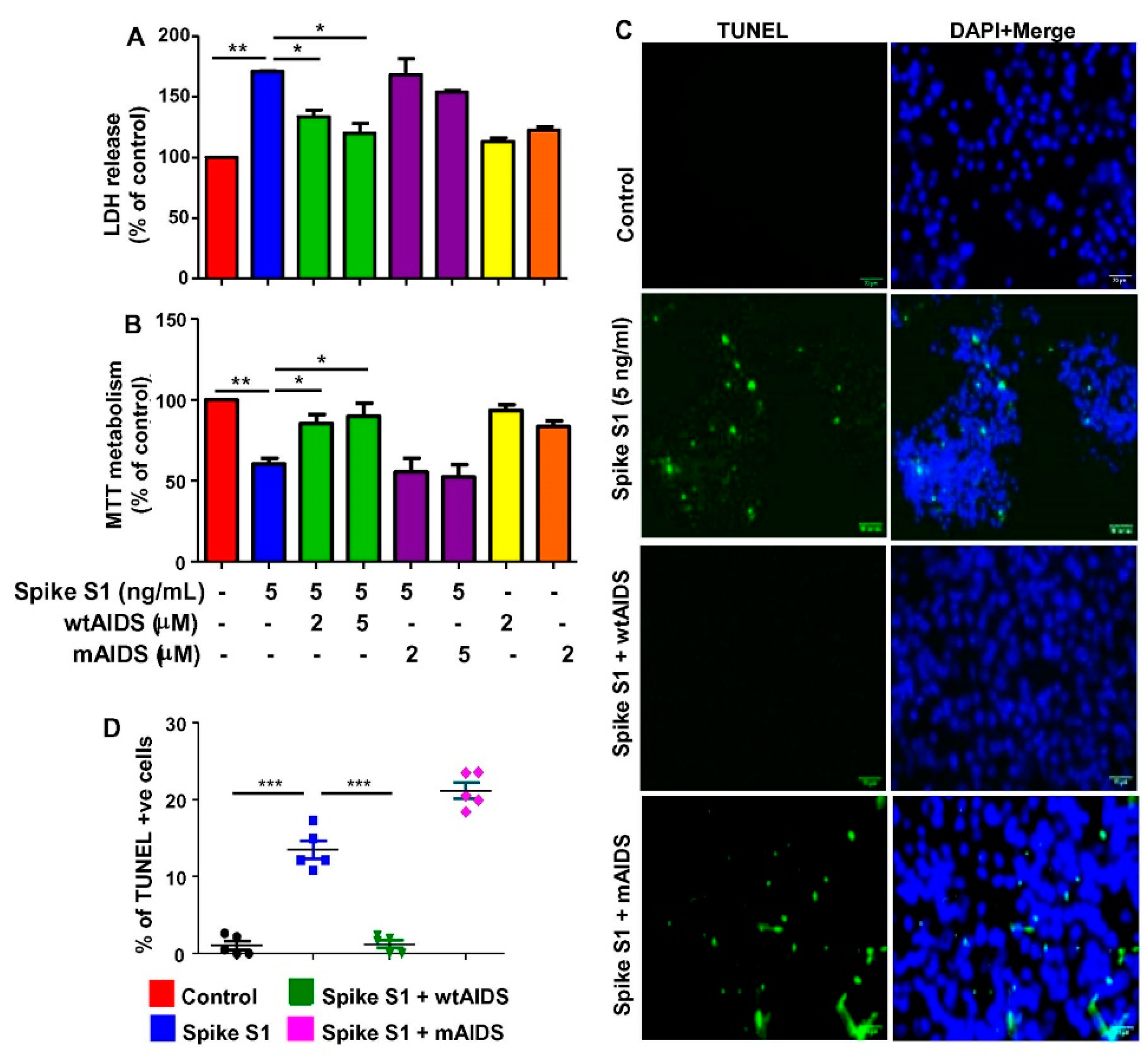 Cancers 14 05648 g005 Cancers 14 05648 g005