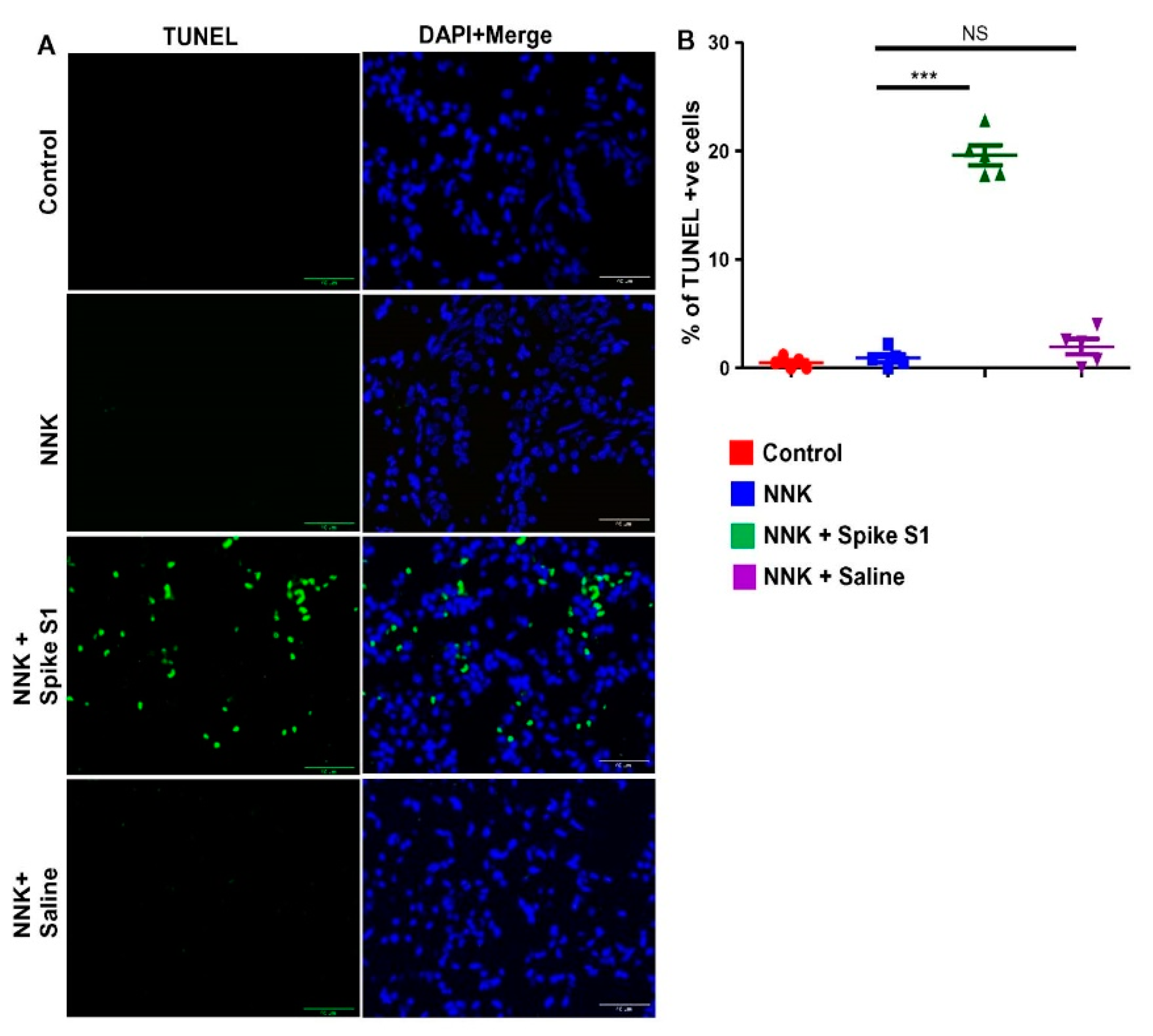 Cancers 14 05648 g008 Cancers 14 05648 g008