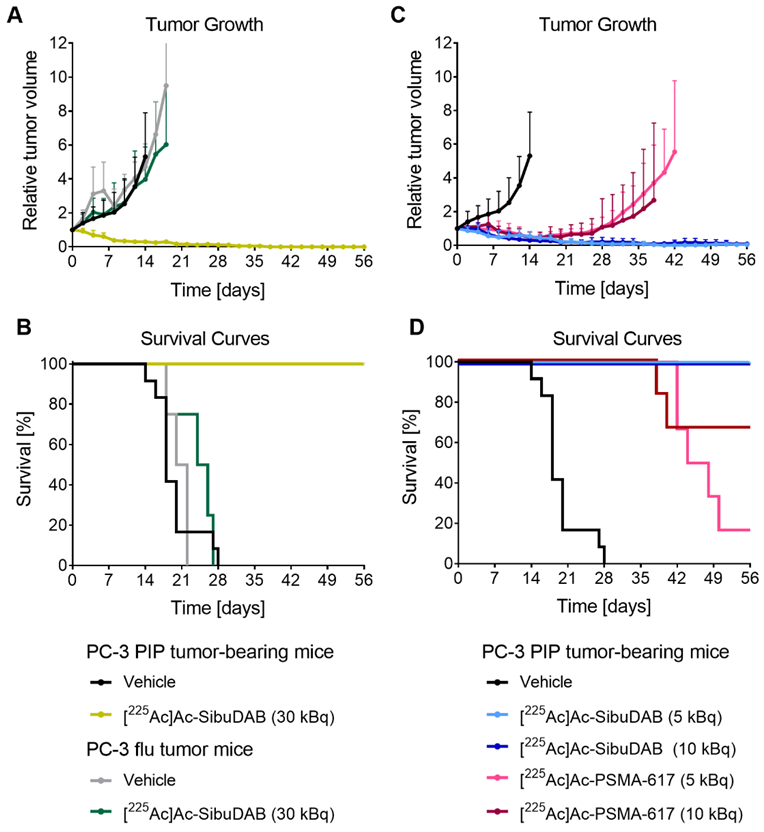 Cancers 14 05651 g006