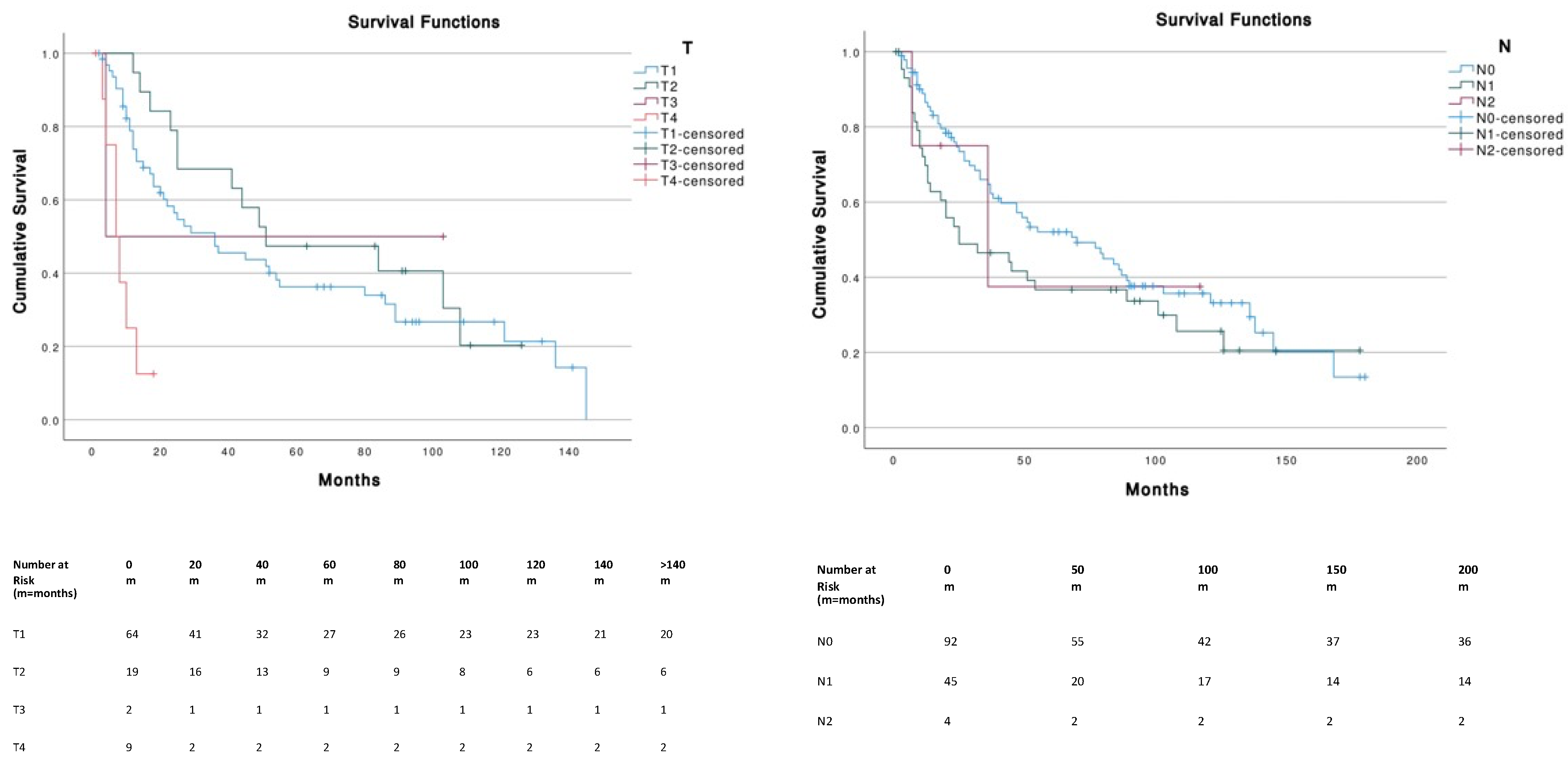 Cancers 14 05653 g003a
