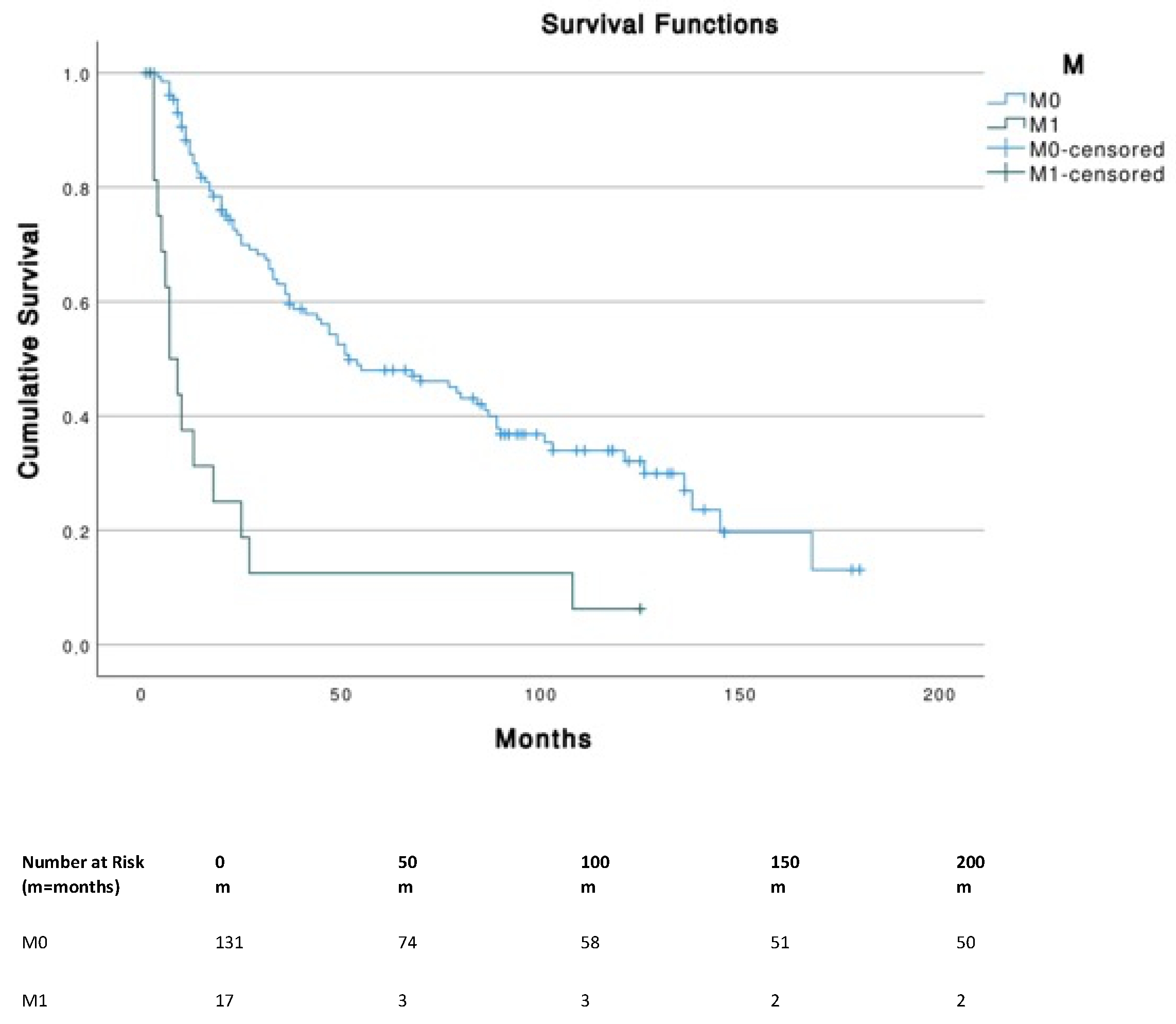 Cancers 14 05653 g003b