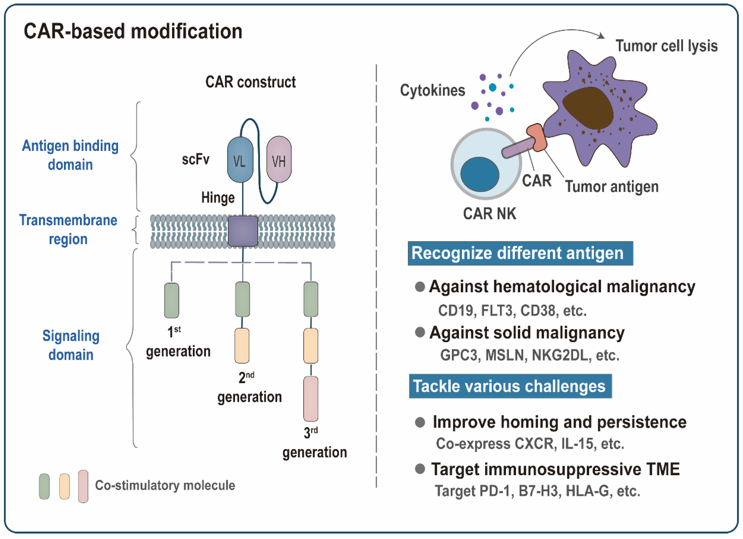 Cancers 14 05657 g003