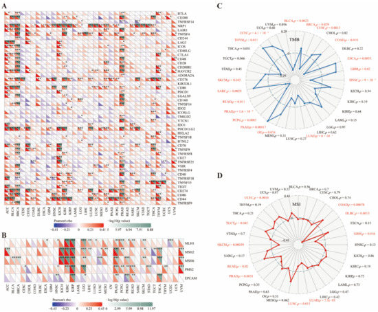 Identification of CD73 as a Novel Biomarker Encompassing the Tumor ...
