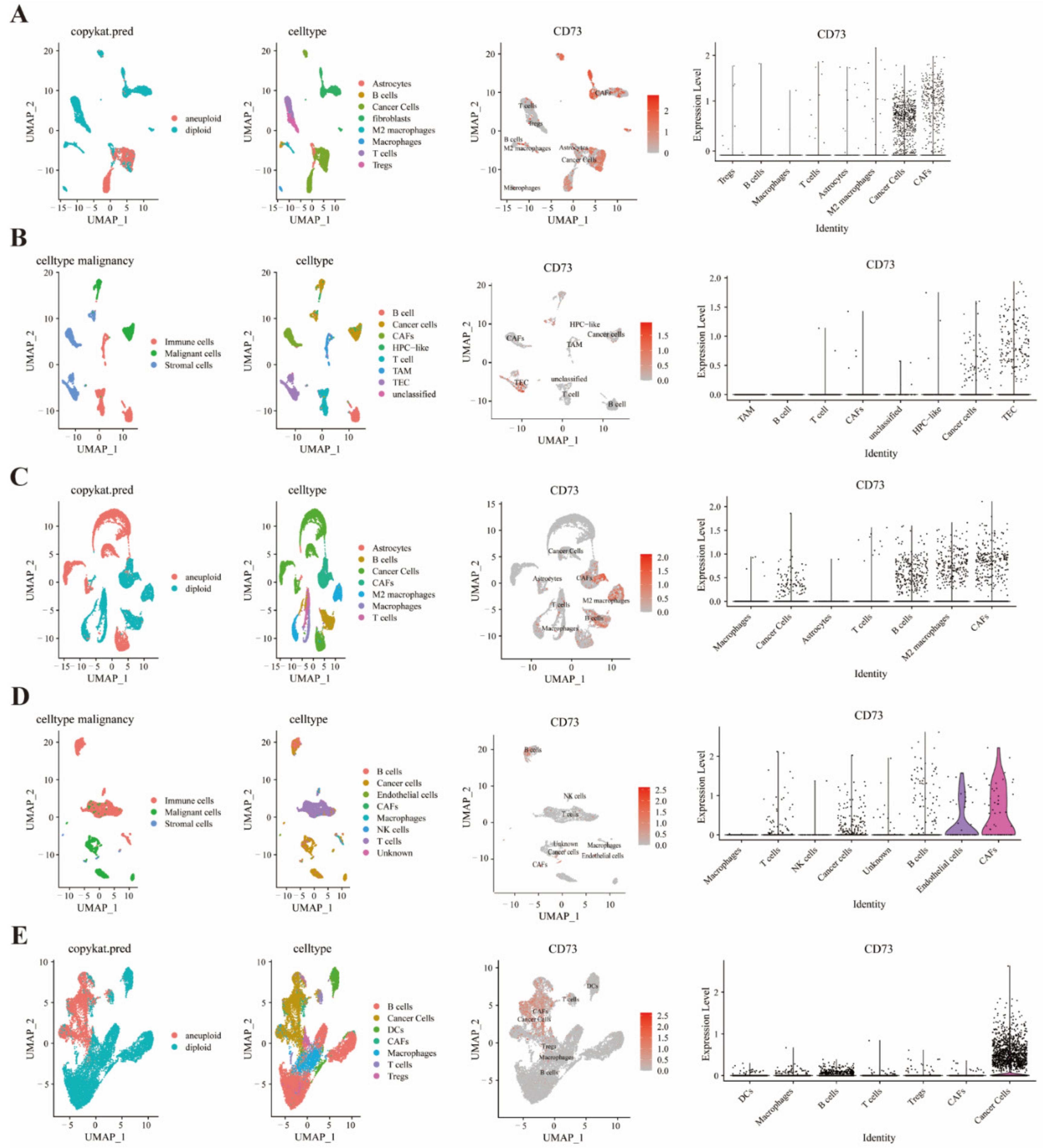 Cancers 14 05663 g005