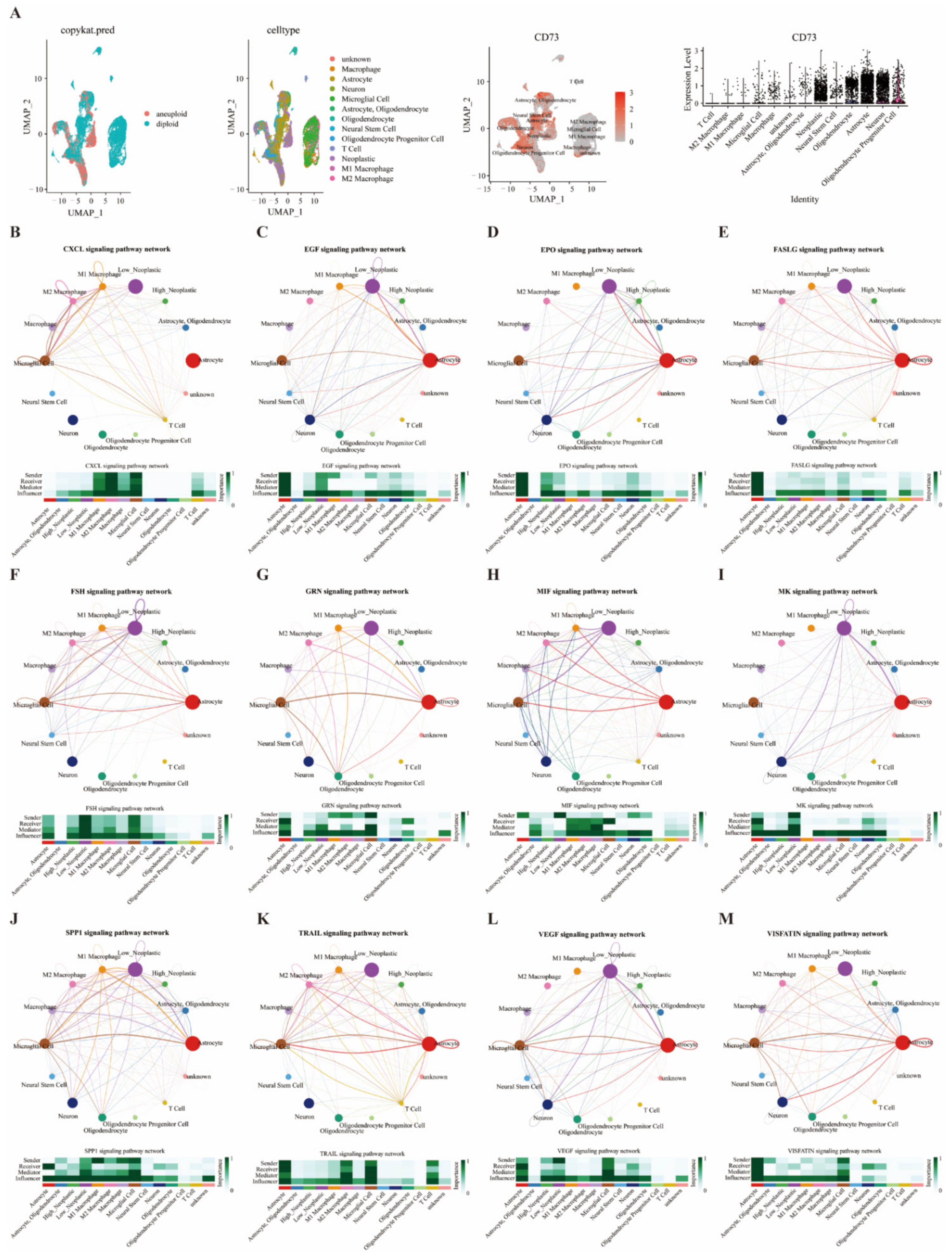 Cancers 14 05663 g006