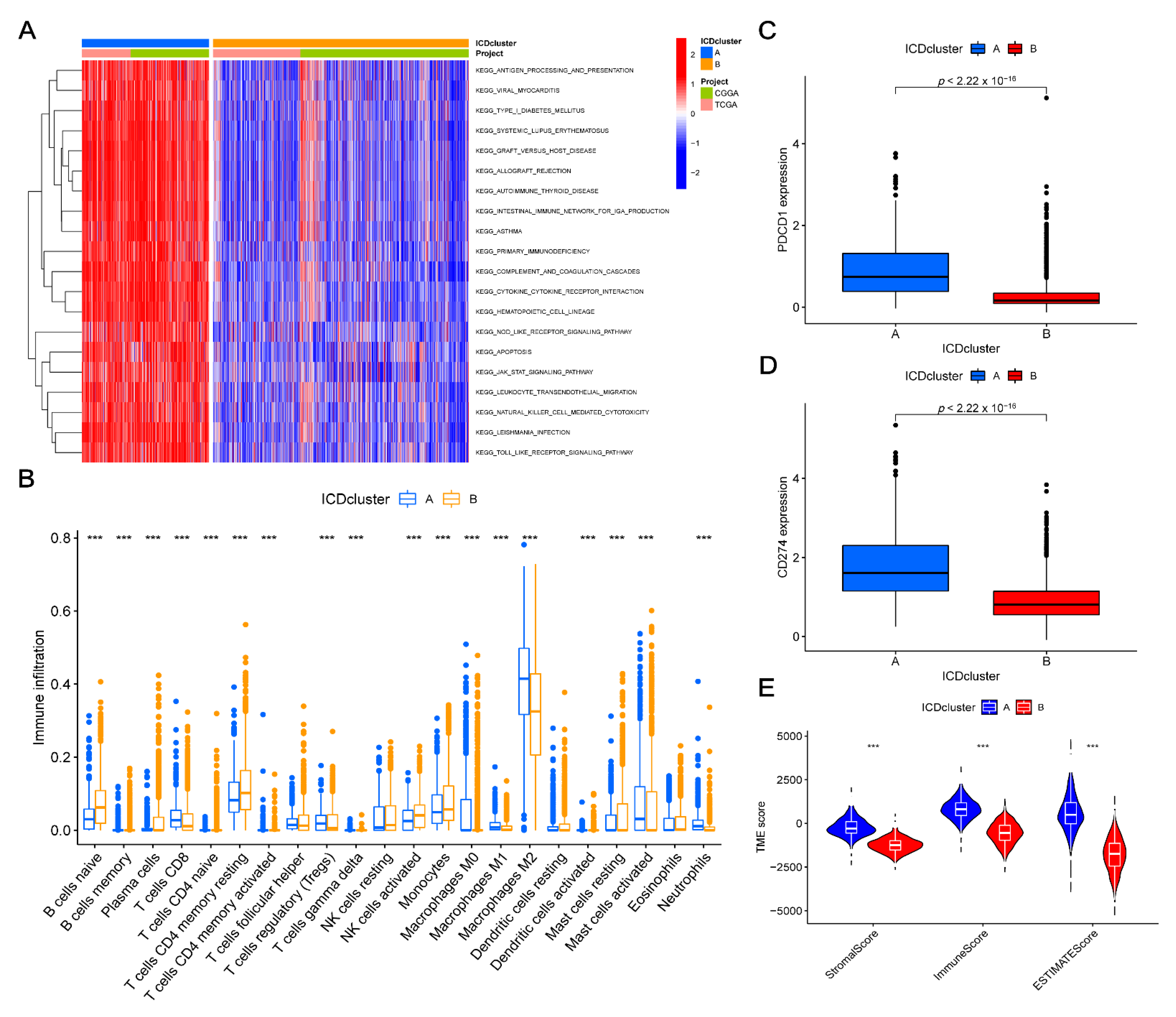 Cancers 14 05665 g003