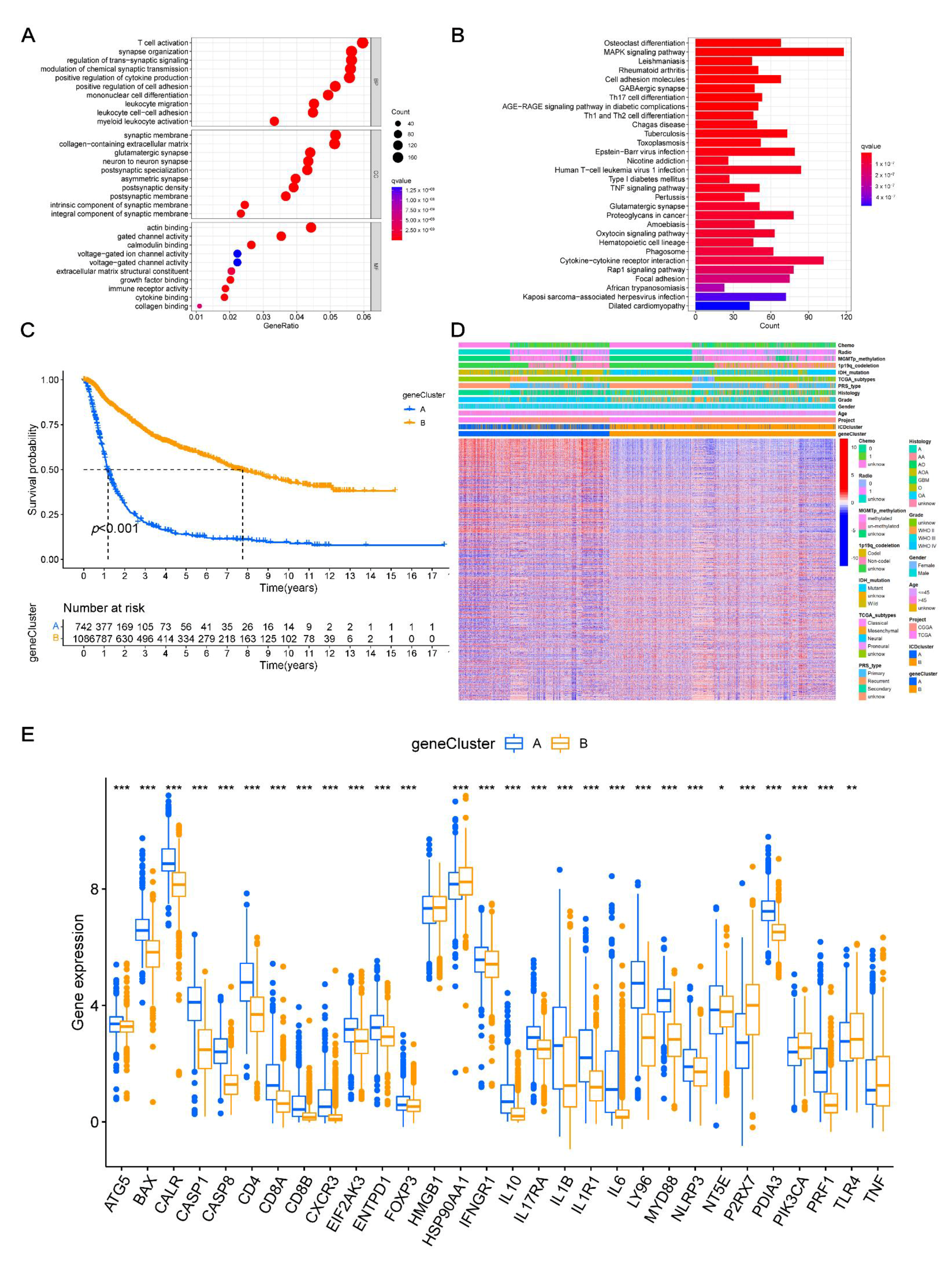 Cancers 14 05665 g004