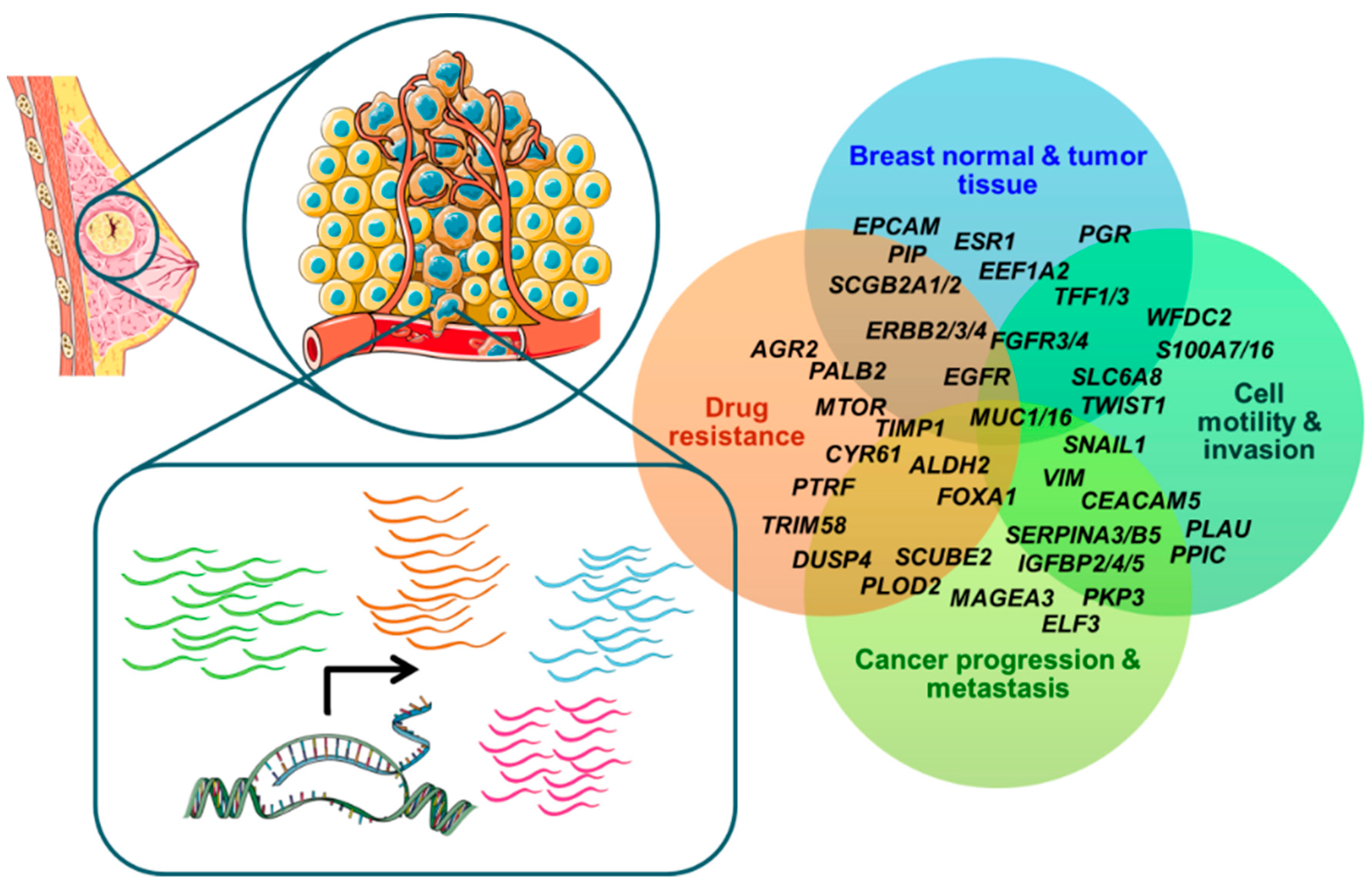 Cancers 14 05668 g002 Cancers 14 05668 g002