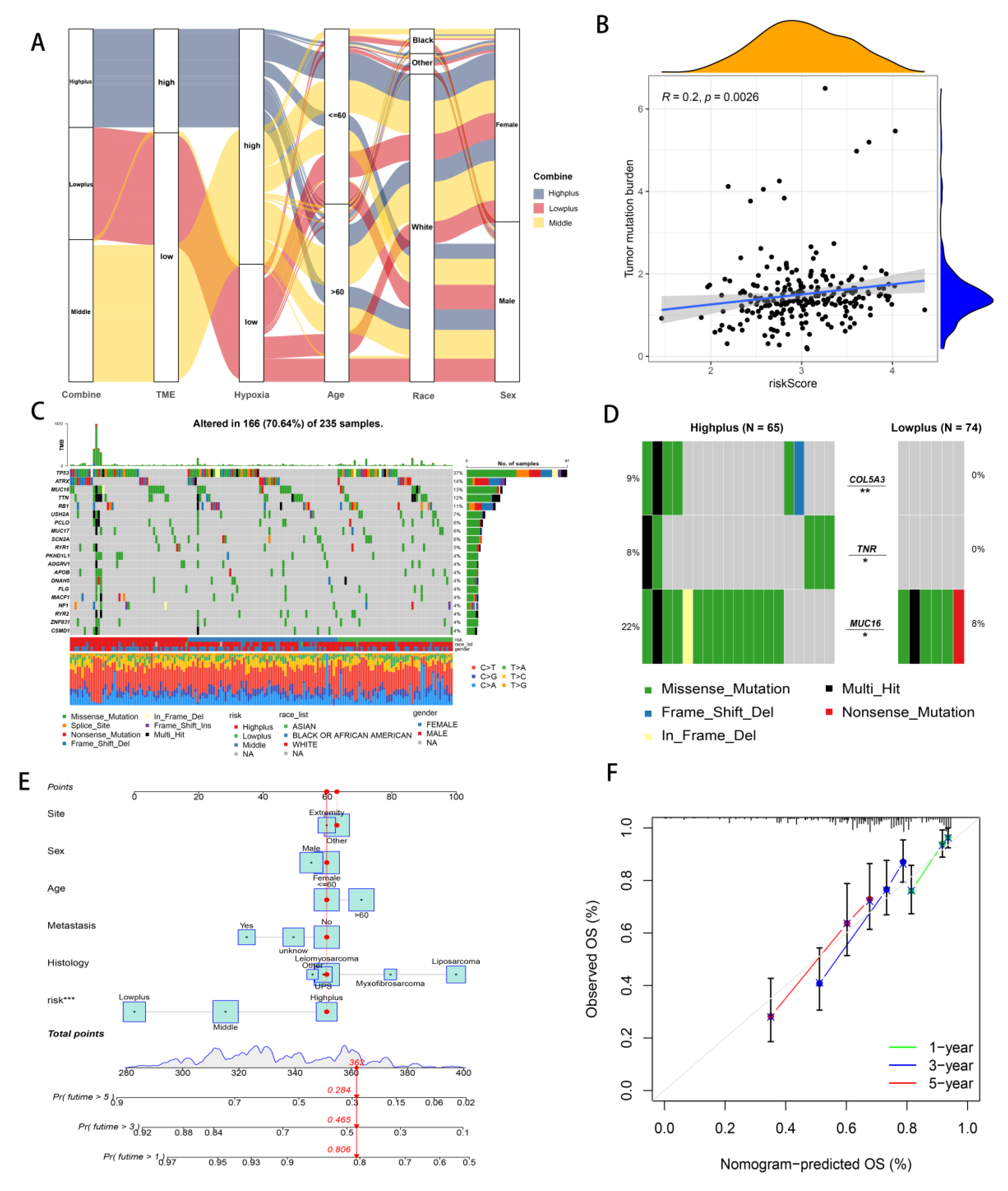 Cancers 14 05675 g005 Cancers 14 05675 g005