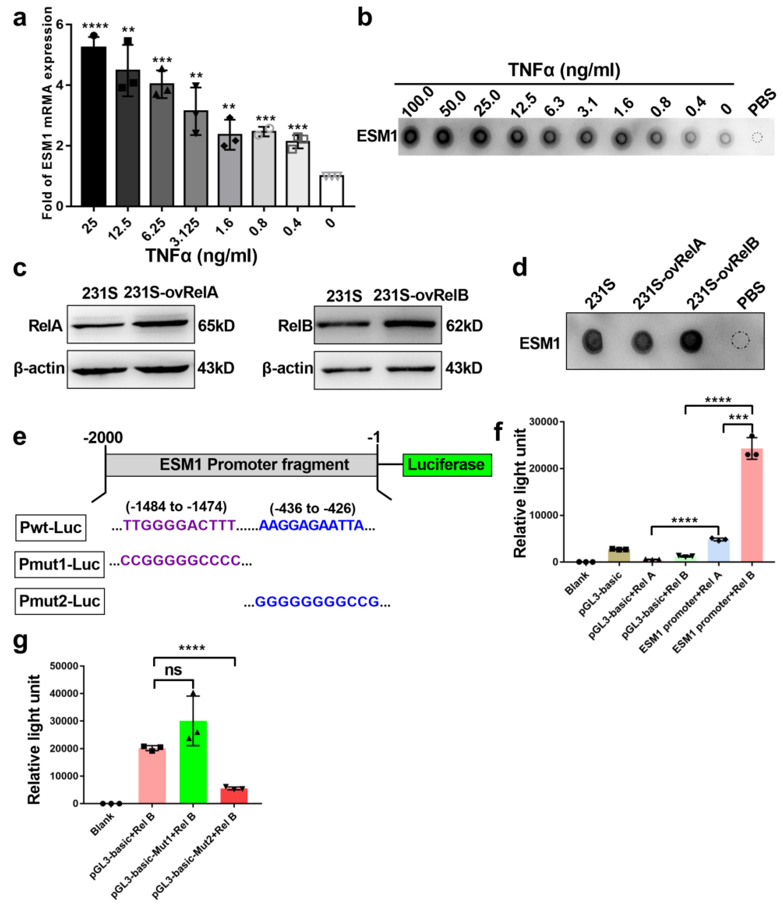 Cancers 14 05681 g004 Cancers 14 05681 g004