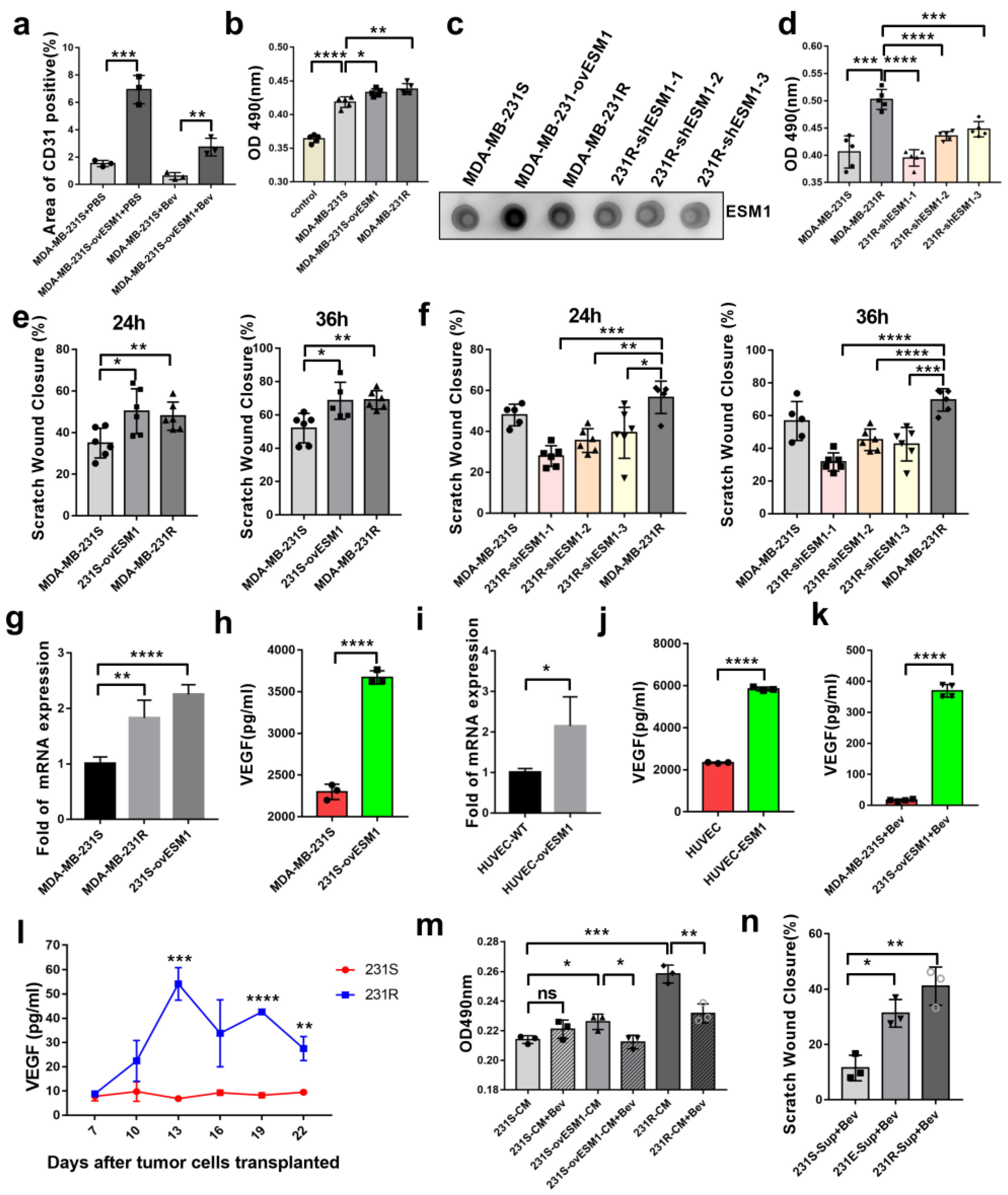 Cancers 14 05681 g005 Cancers 14 05681 g005
