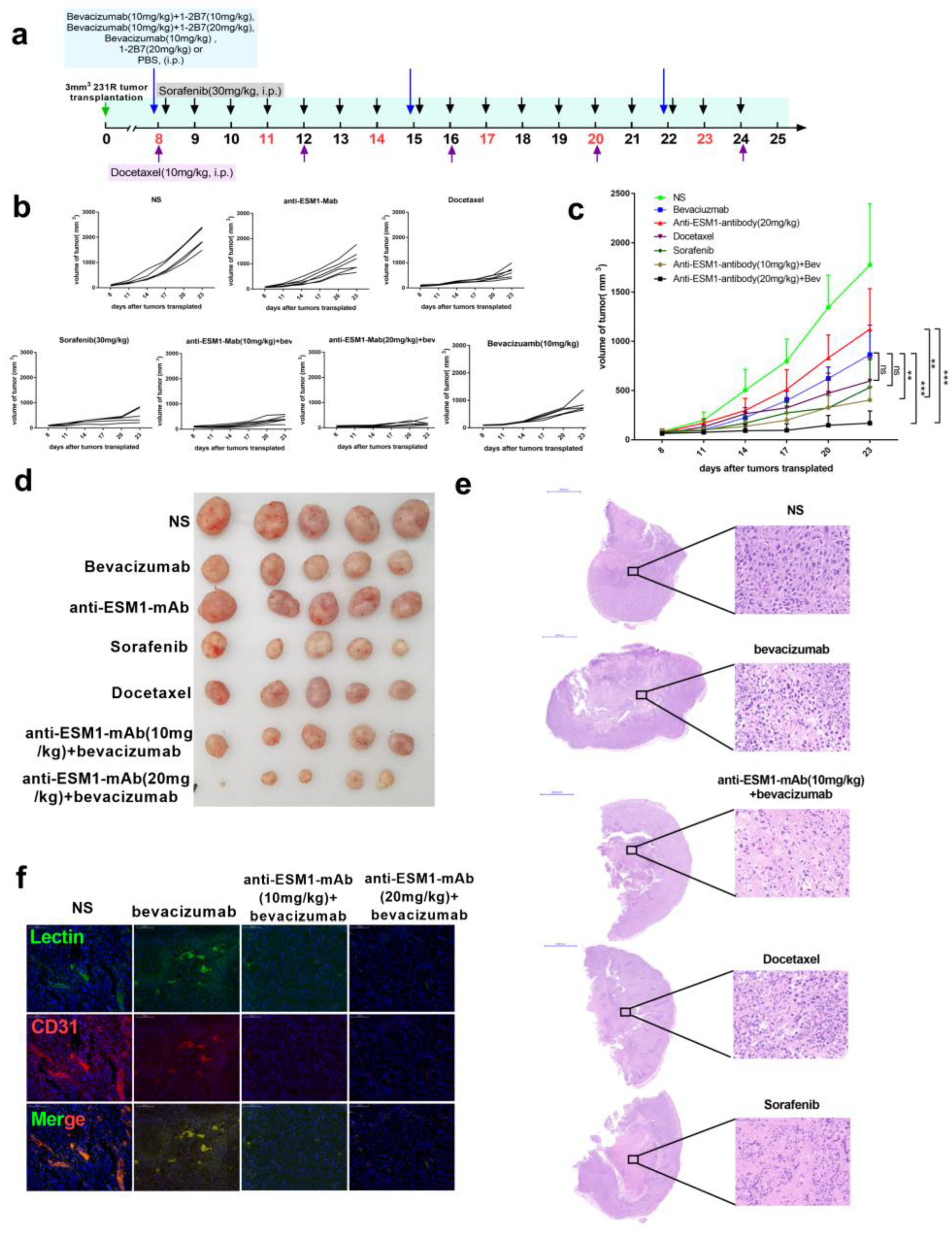 Cancers 14 05681 g008 Cancers 14 05681 g008